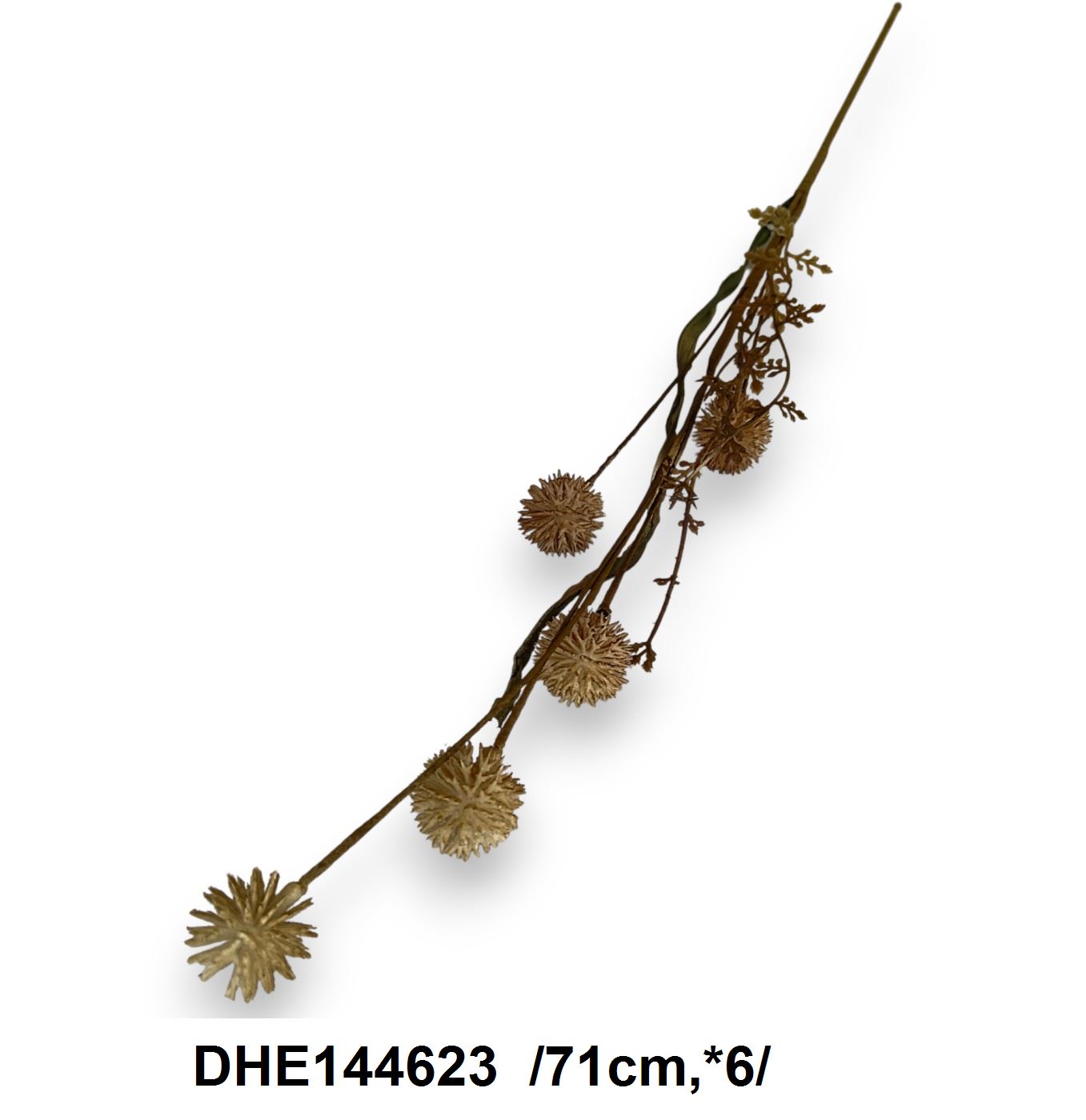DHE144623