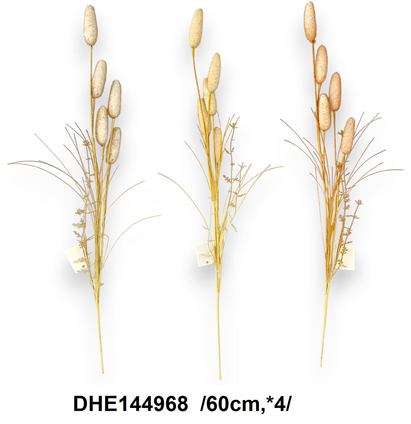 DHE144968