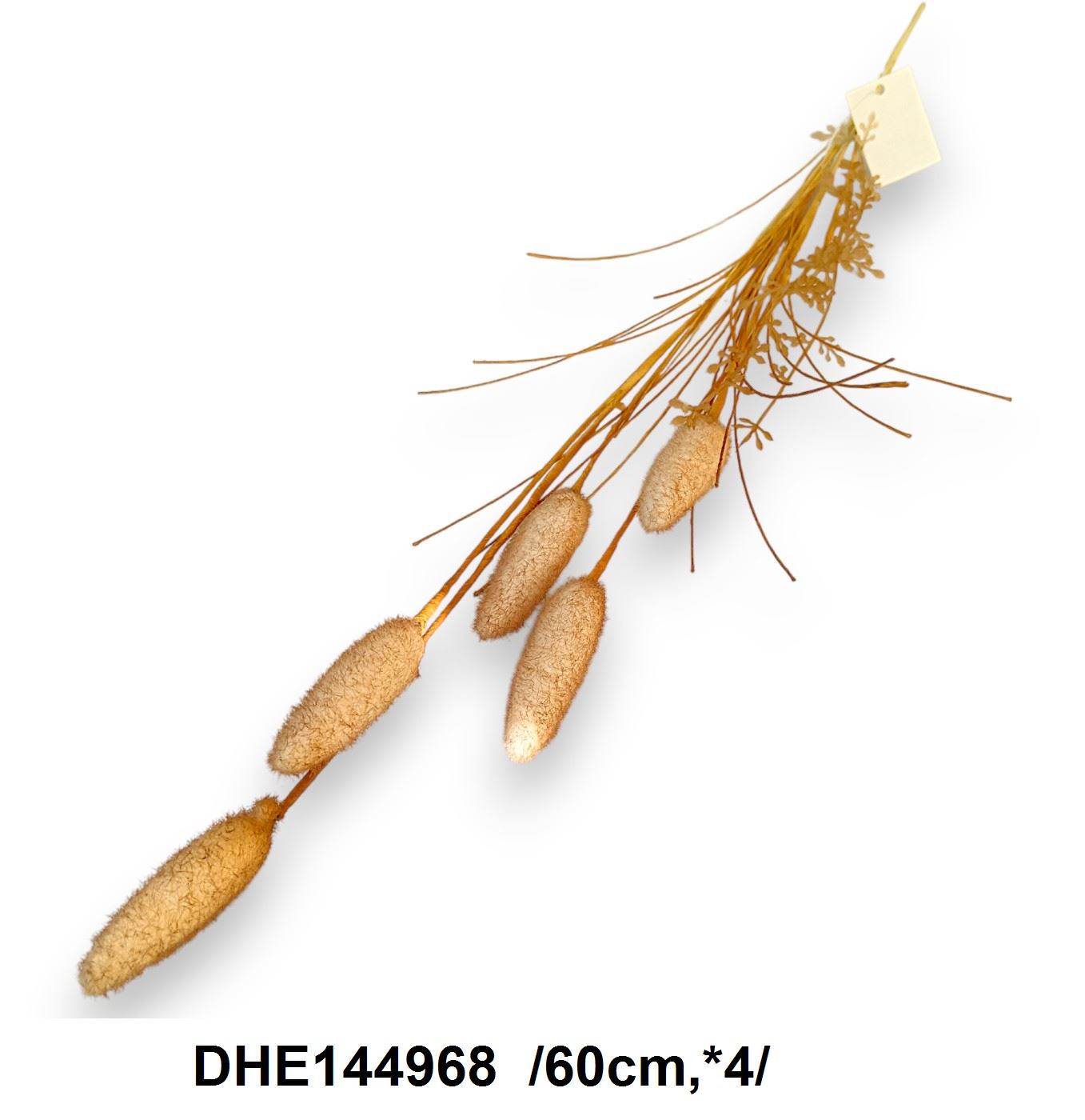DHE144968