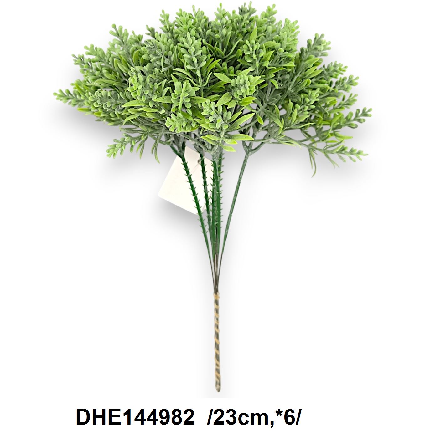 DHE144982