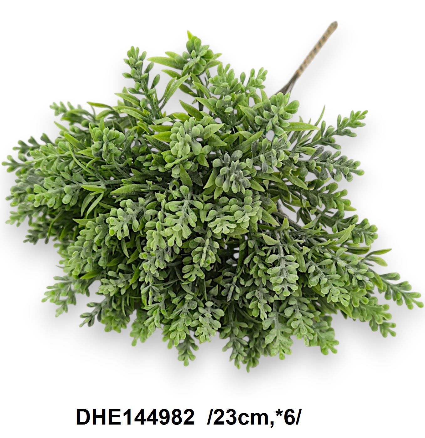 DHE144982