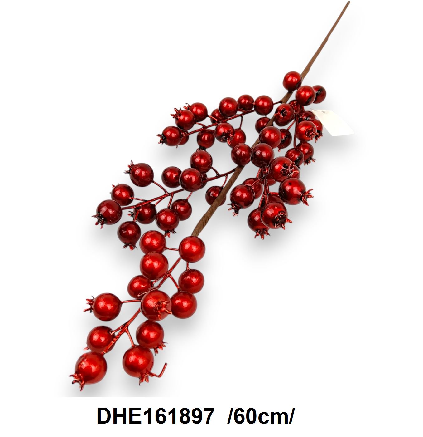 DHE161897