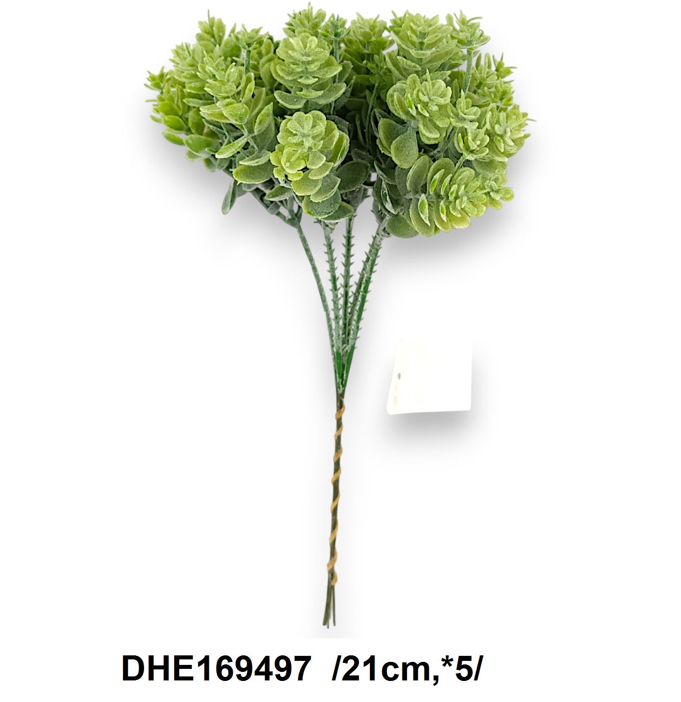 DHE169497