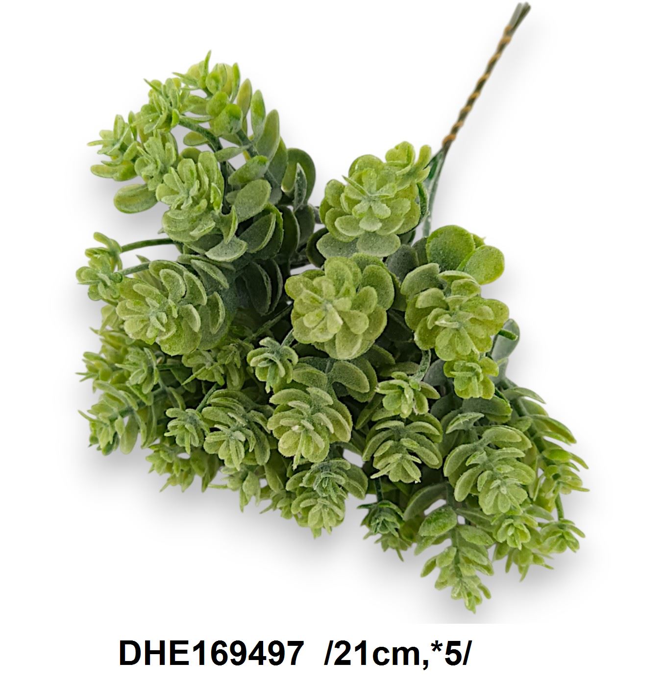 DHE169497
