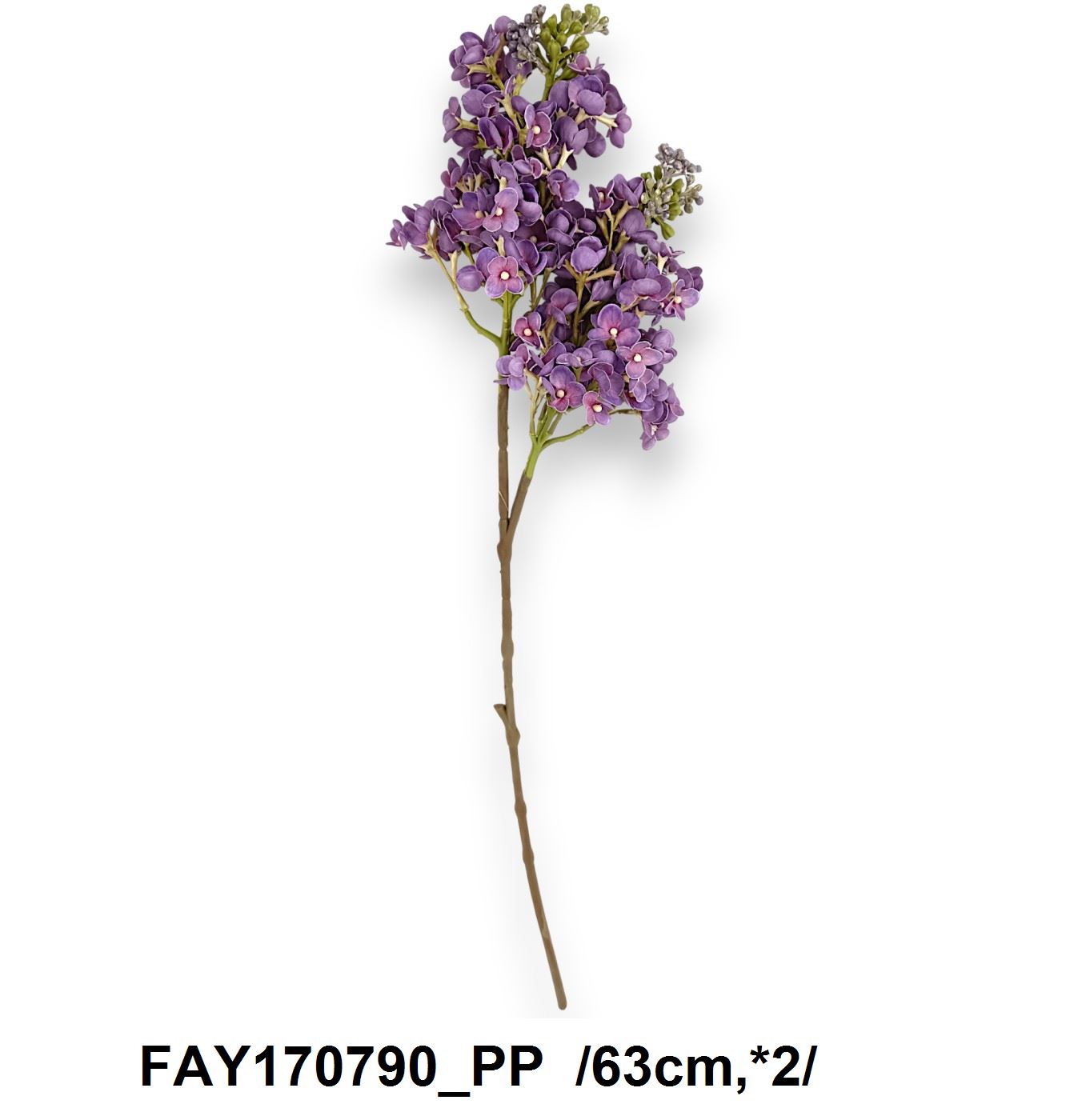FAY170790_PP