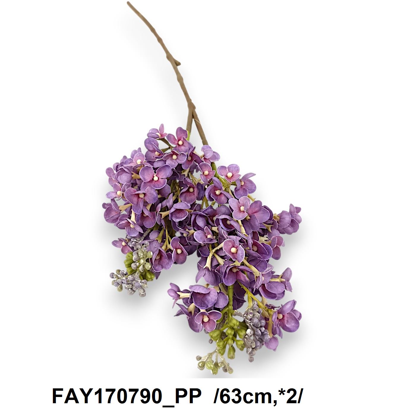 FAY170790_PP