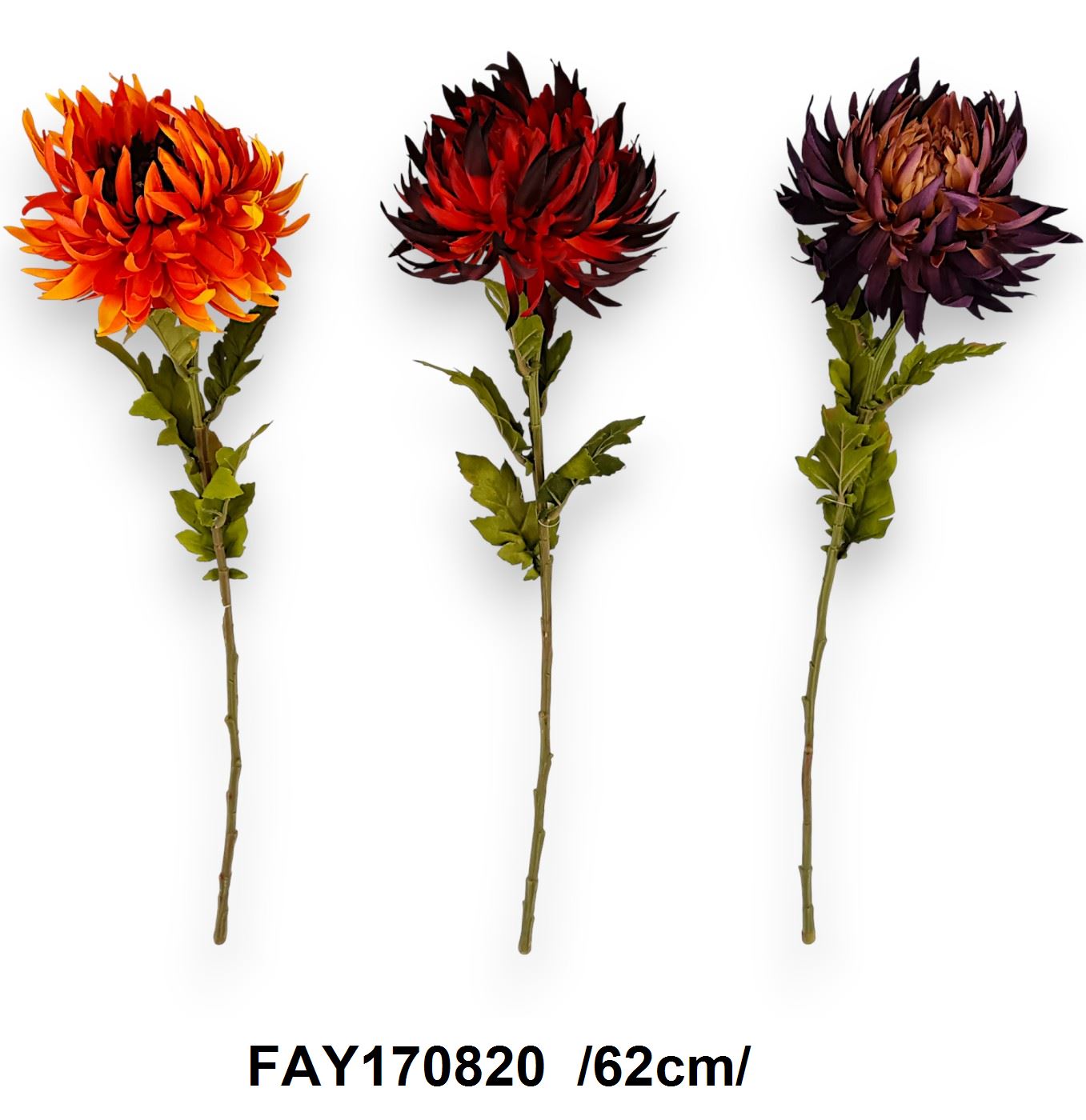 FAY170820