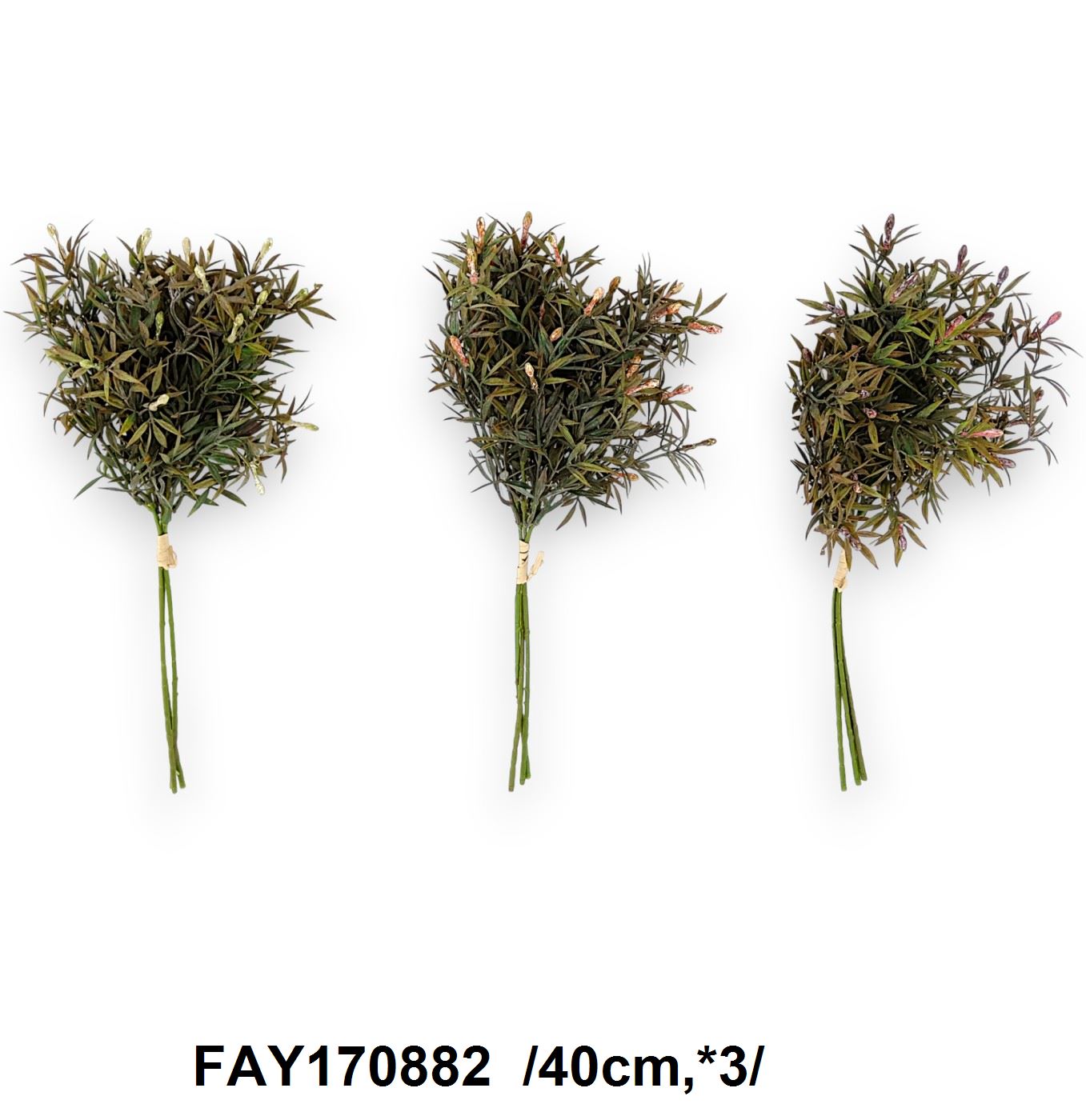 FAY170882