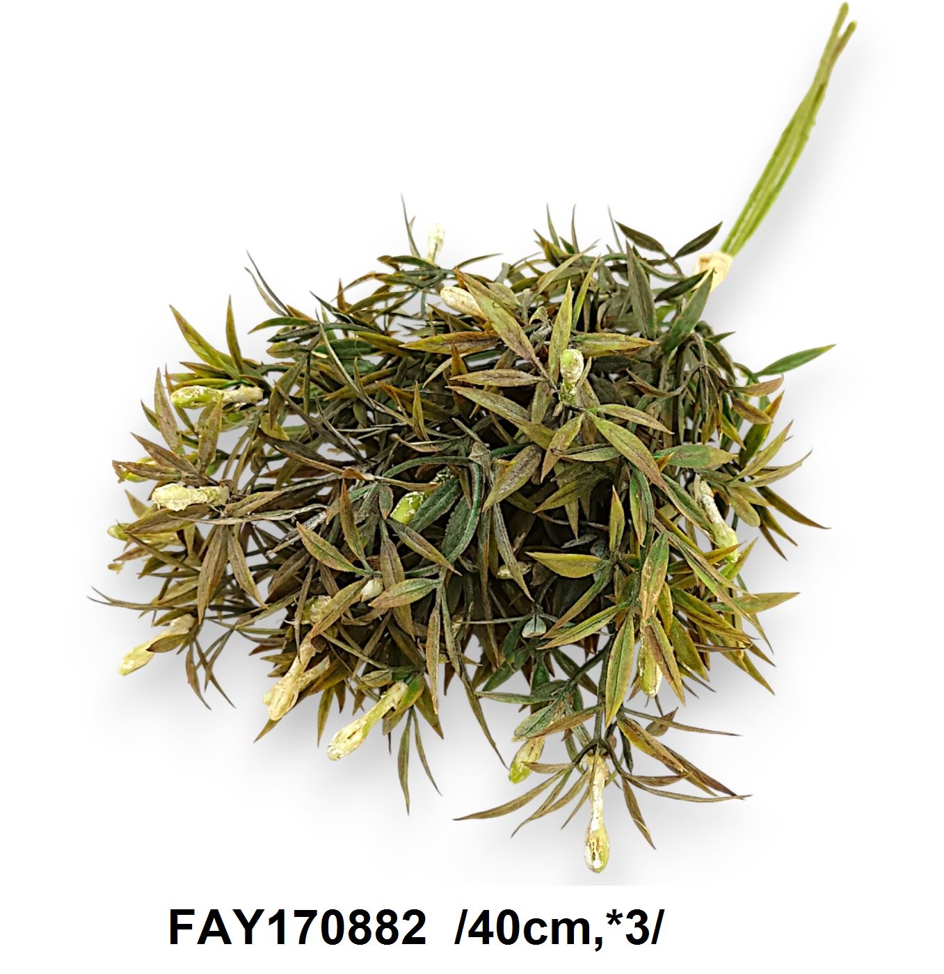 FAY170882