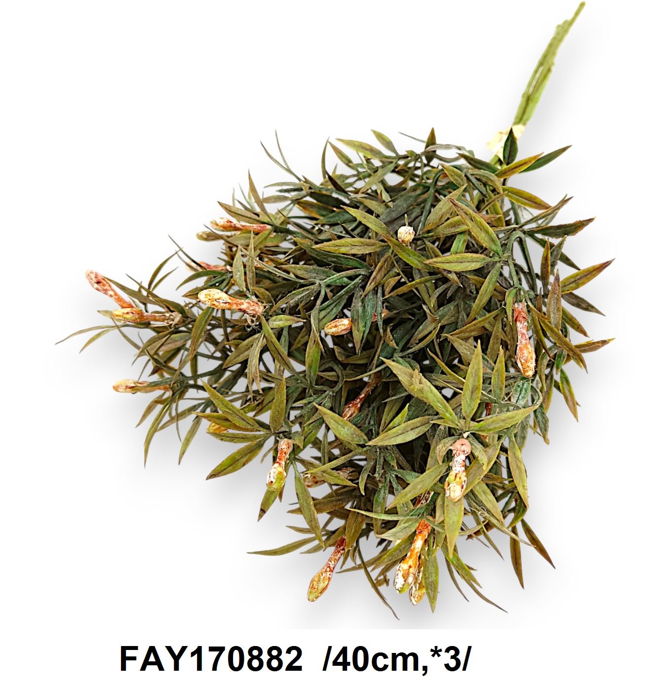 FAY170882