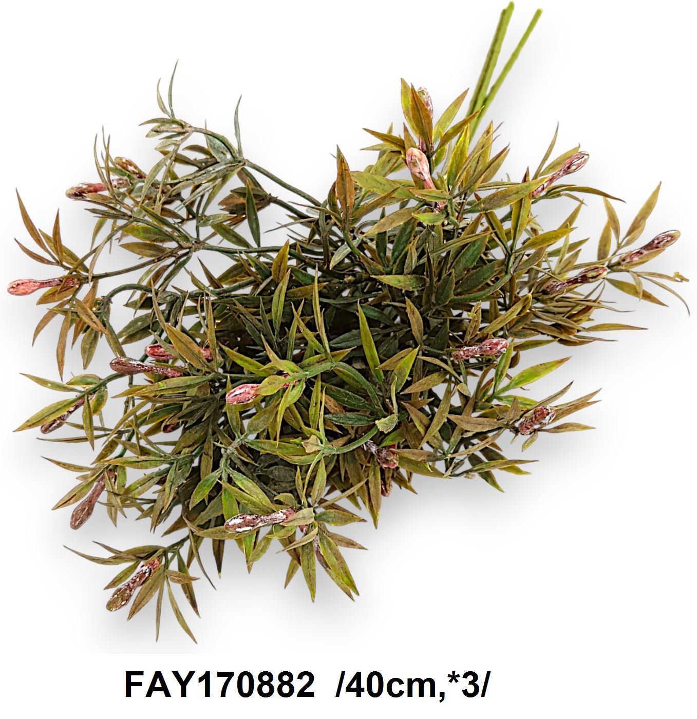 FAY170882
