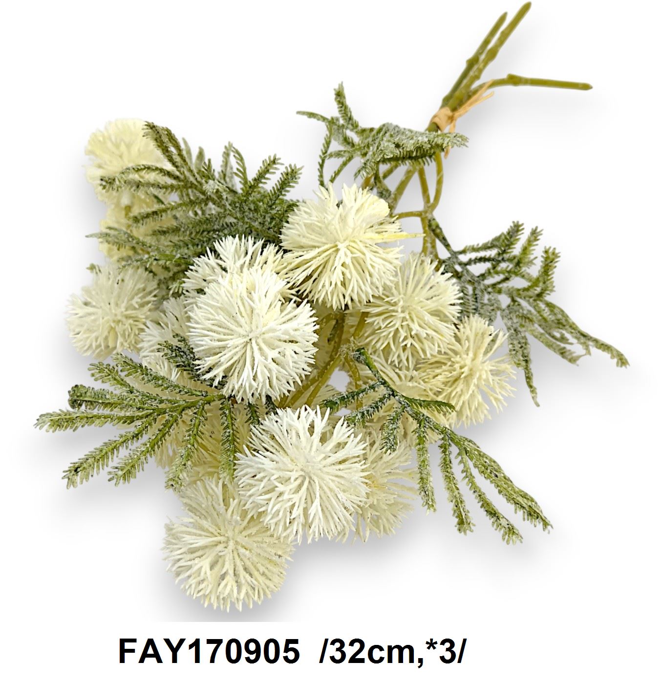 FAY170905