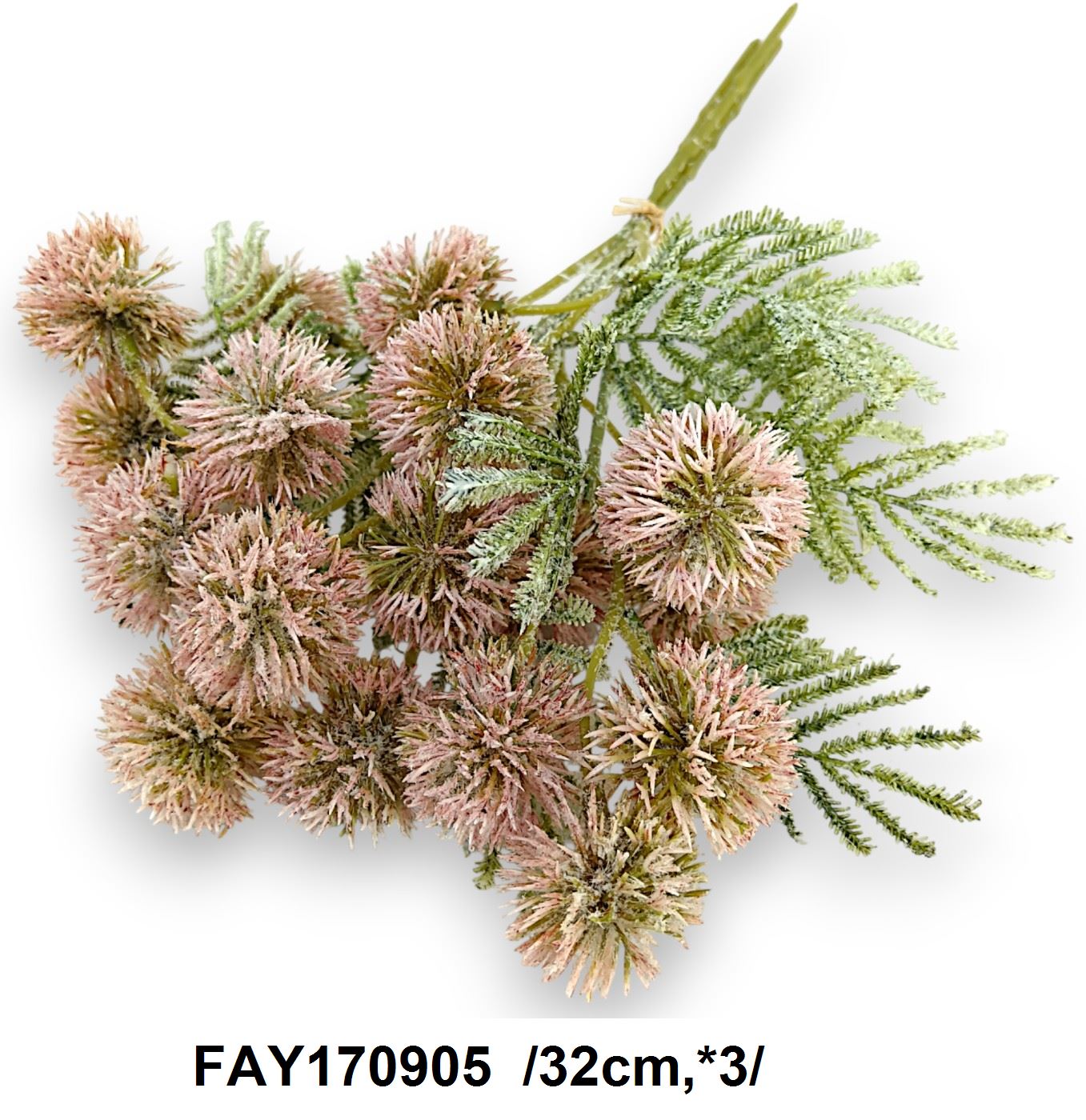 FAY170905