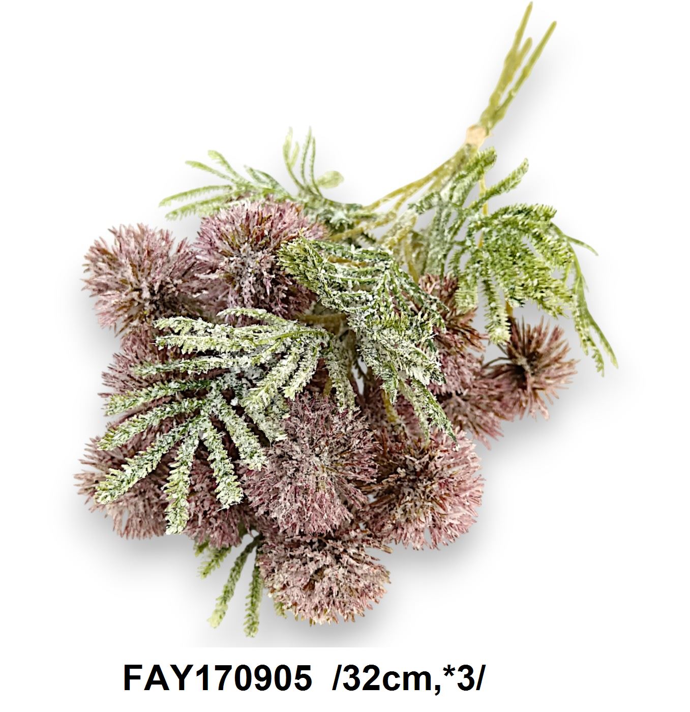 FAY170905
