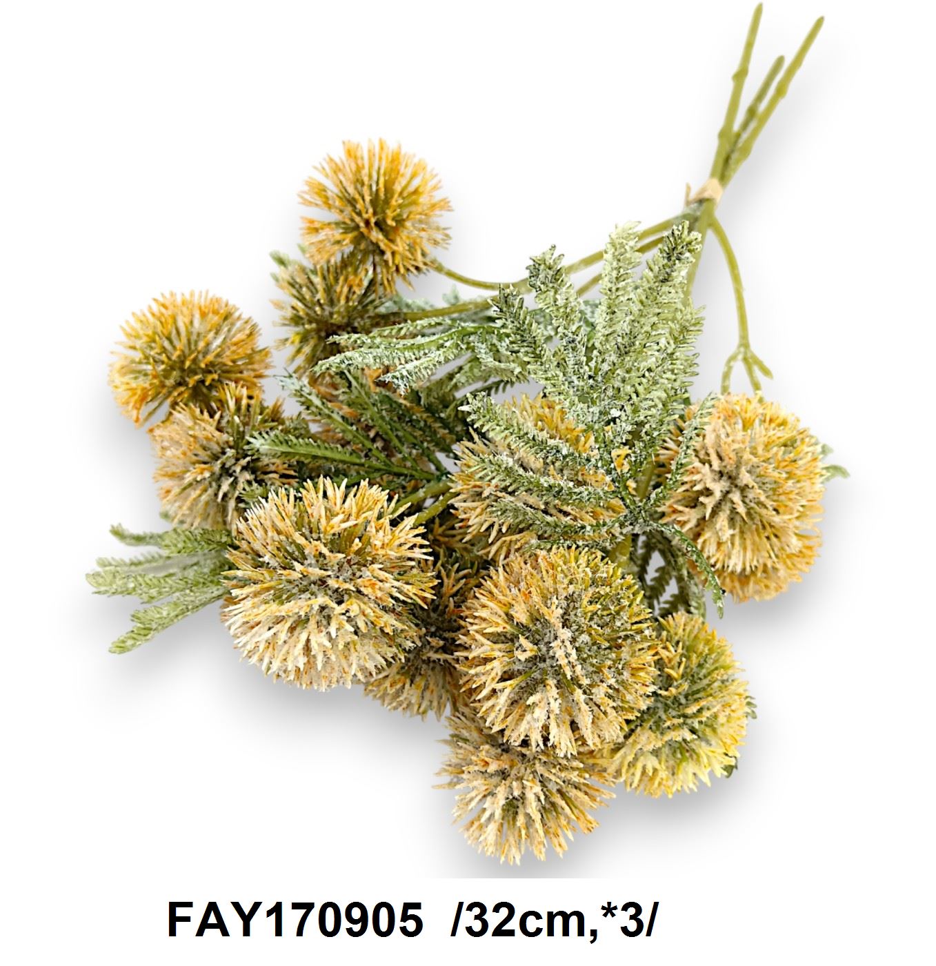 FAY170905