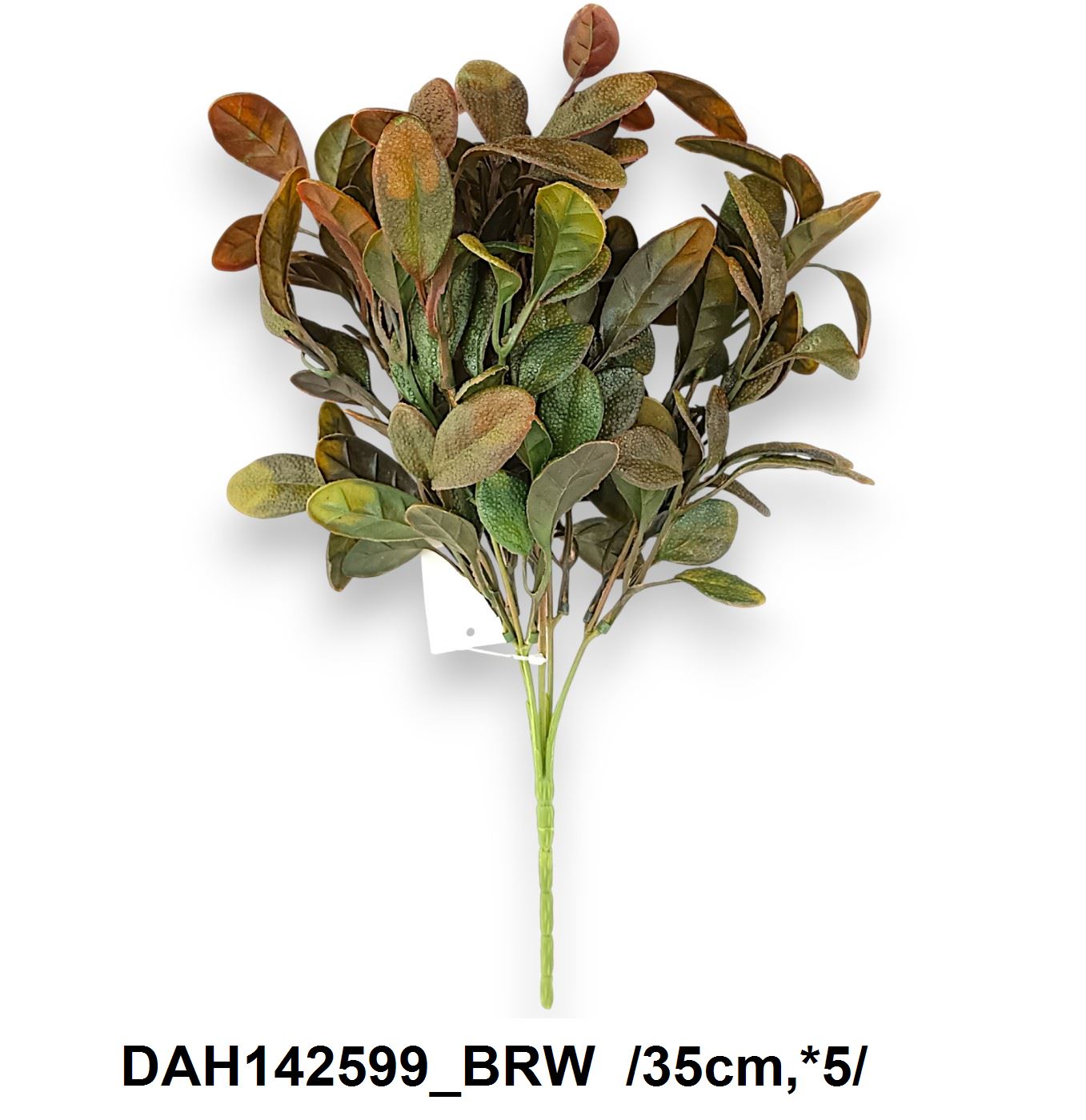 DAH142599_BRW