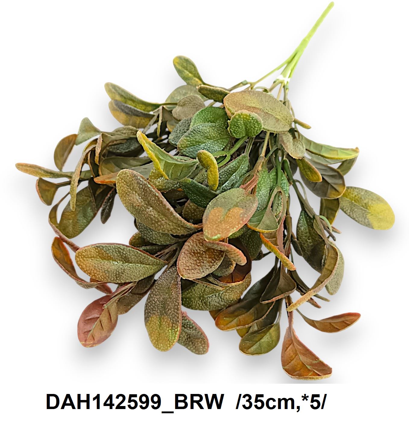 DAH142599_BRW