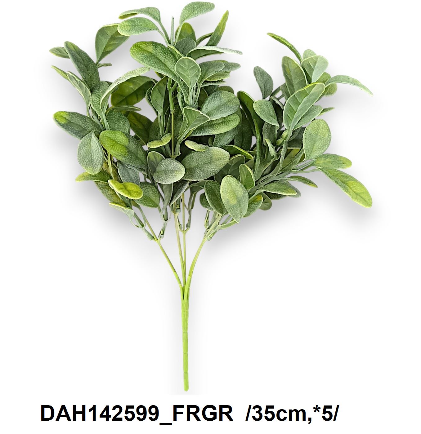 DAH142599_FRGR