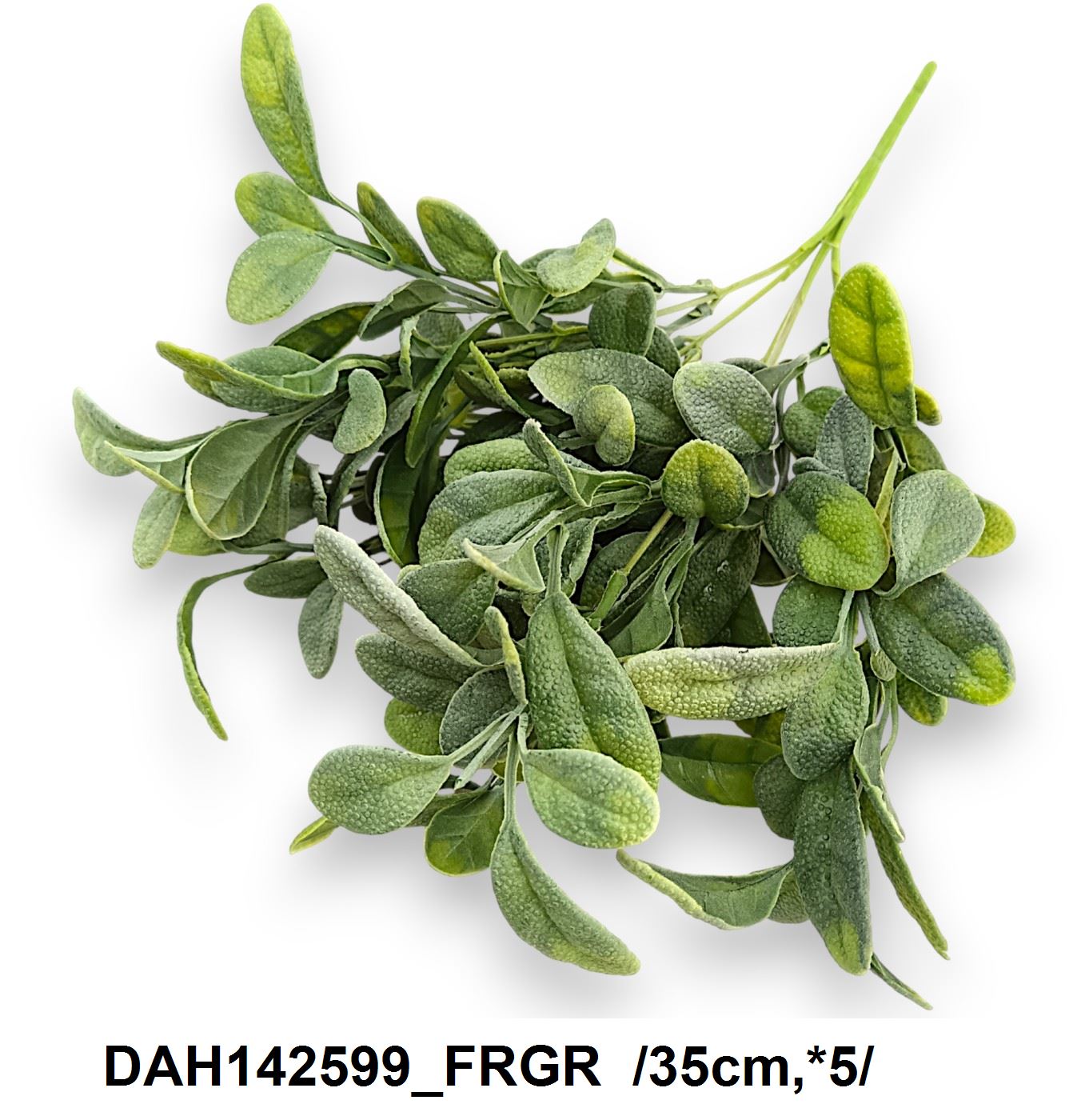 DAH142599_FRGR