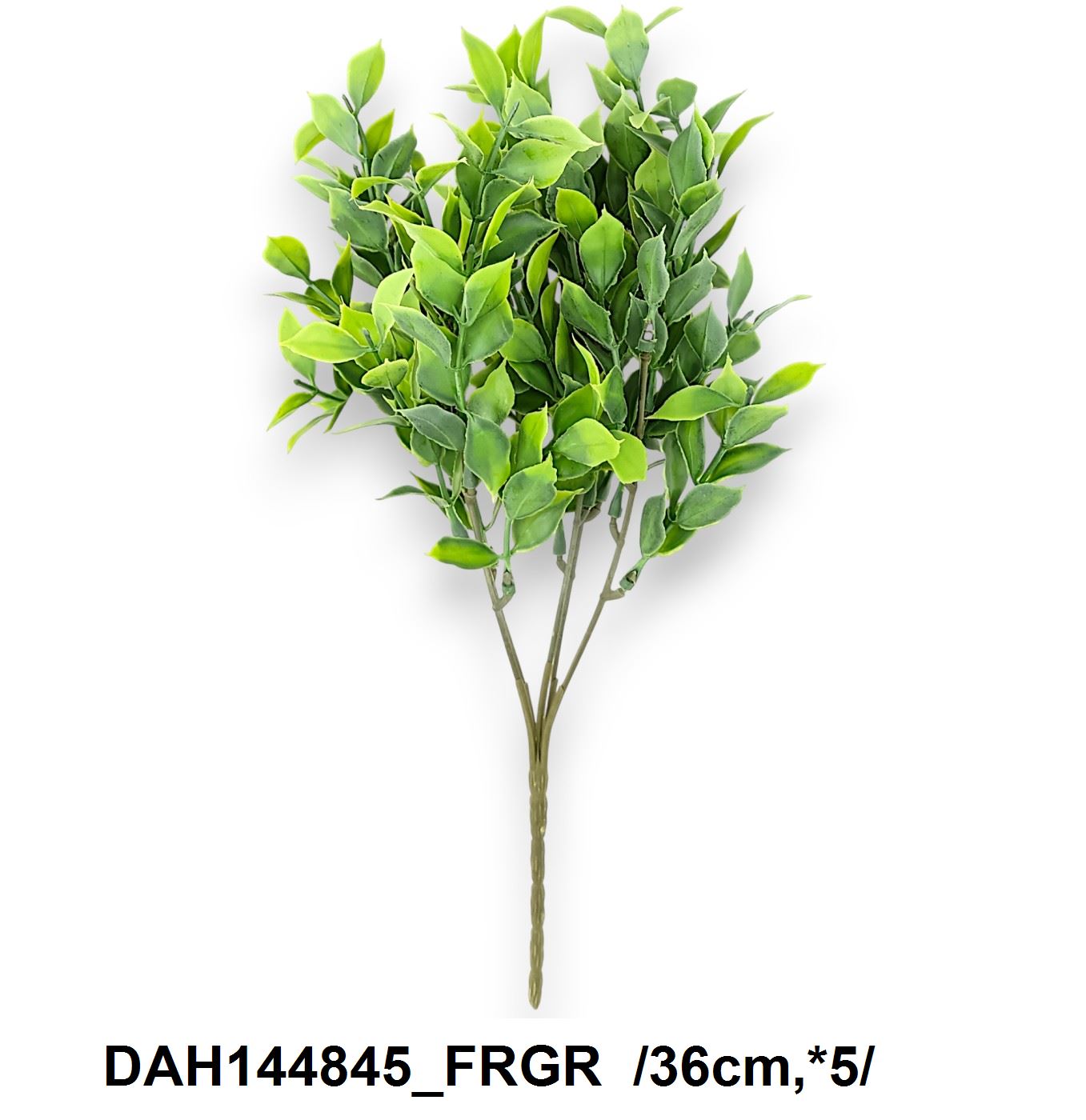 DAH144845_FRGR