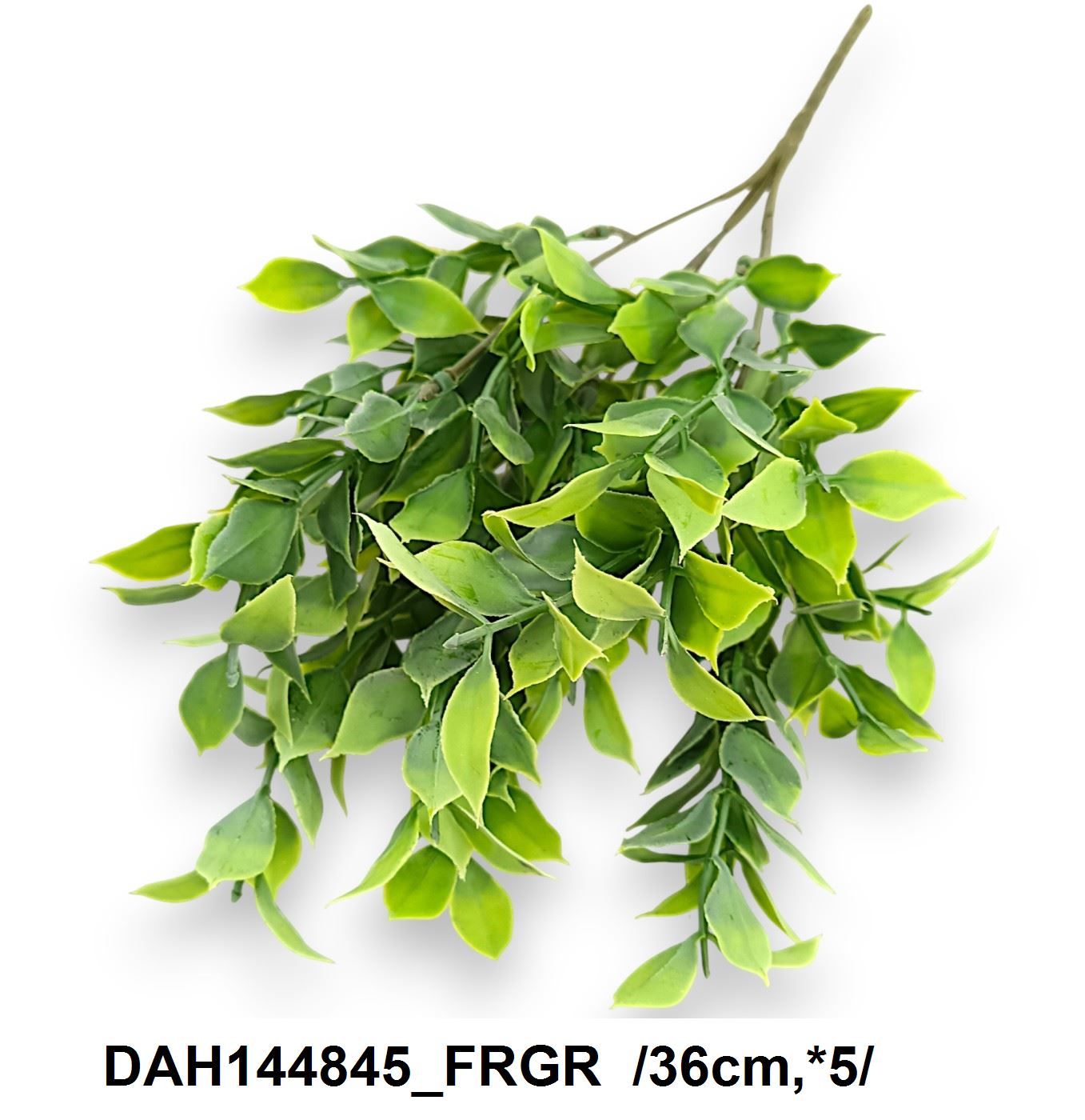 DAH144845_FRGR