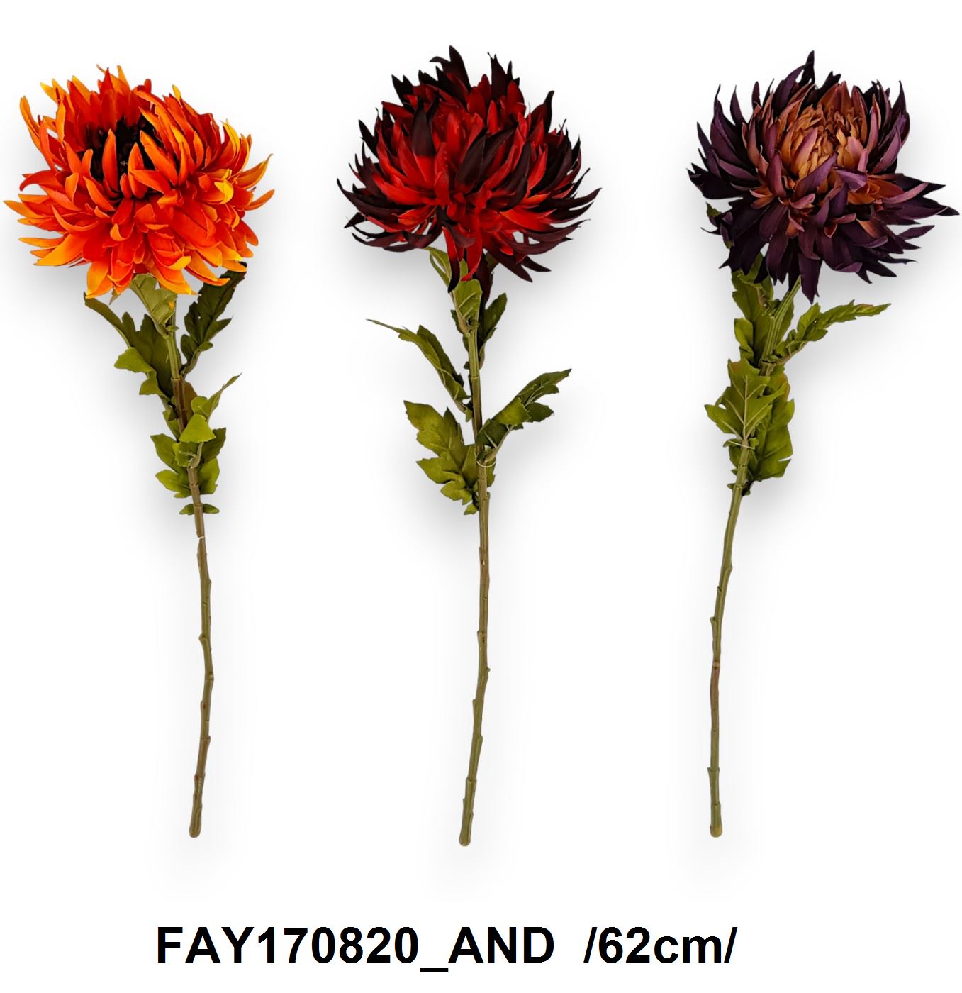 FAY170820_AND