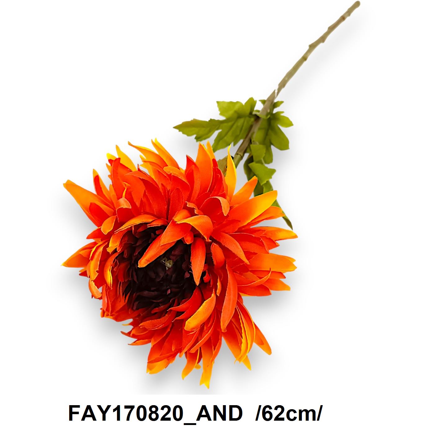 FAY170820_AND