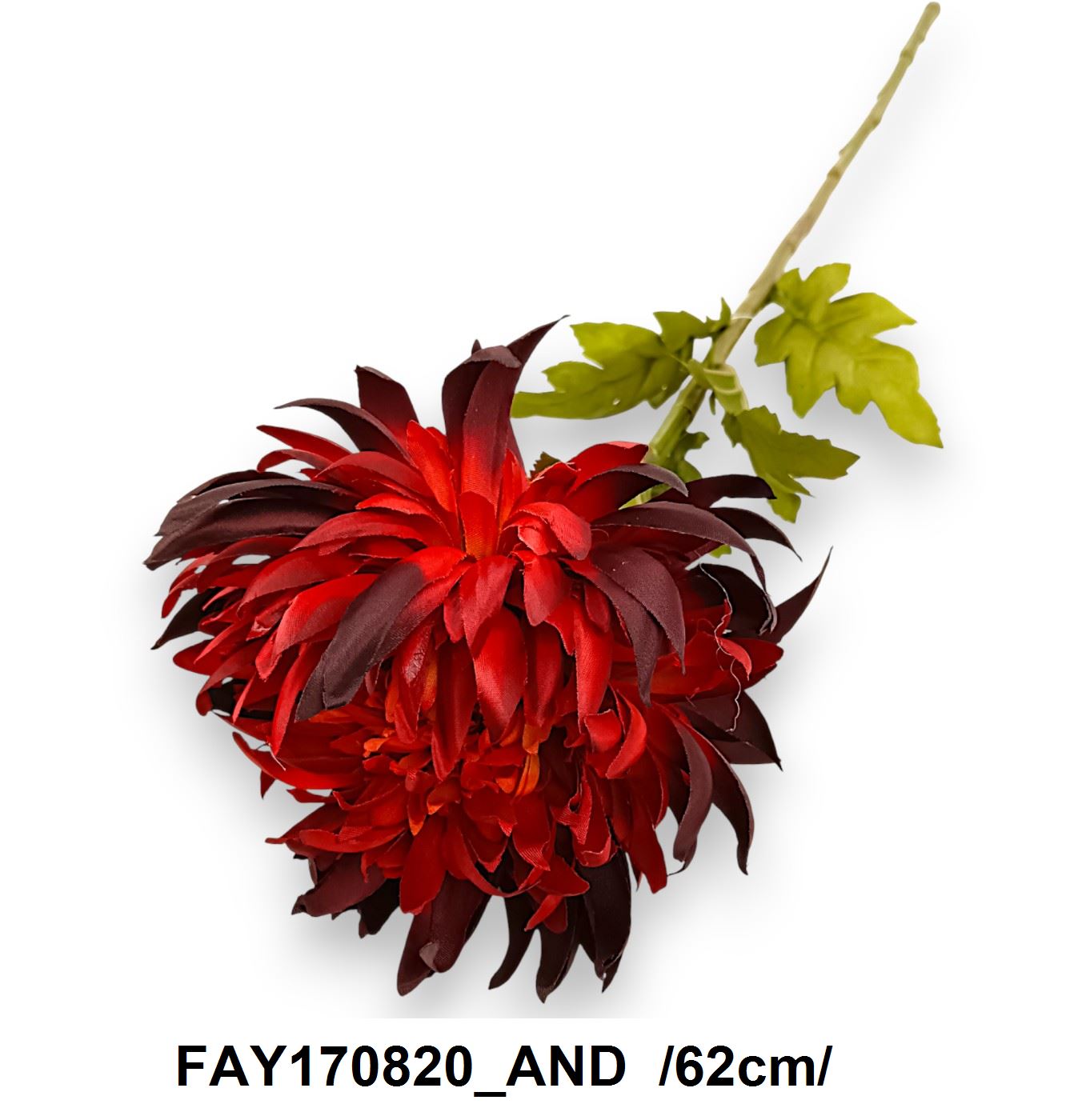 FAY170820_AND