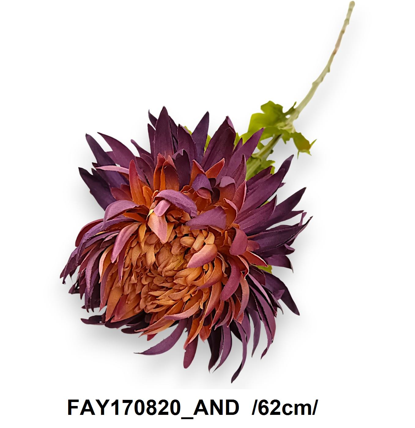 FAY170820_AND