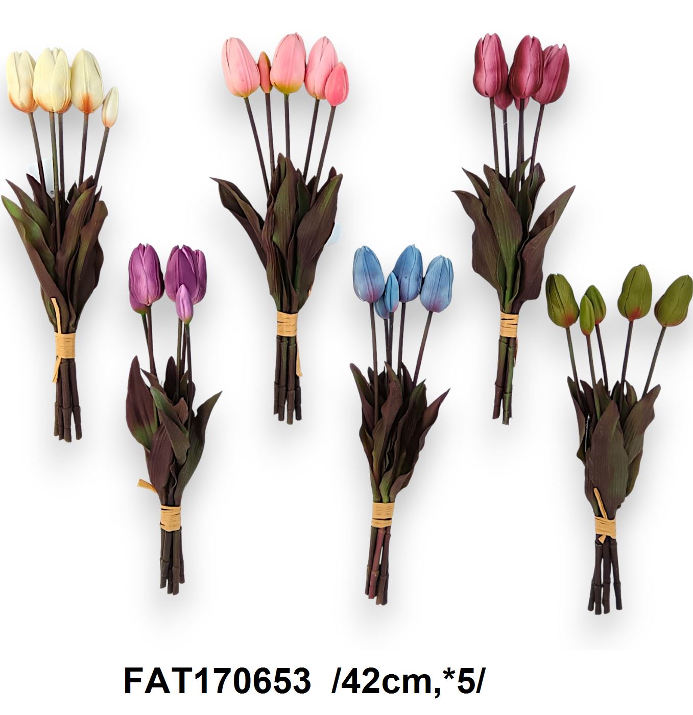 FAT170653