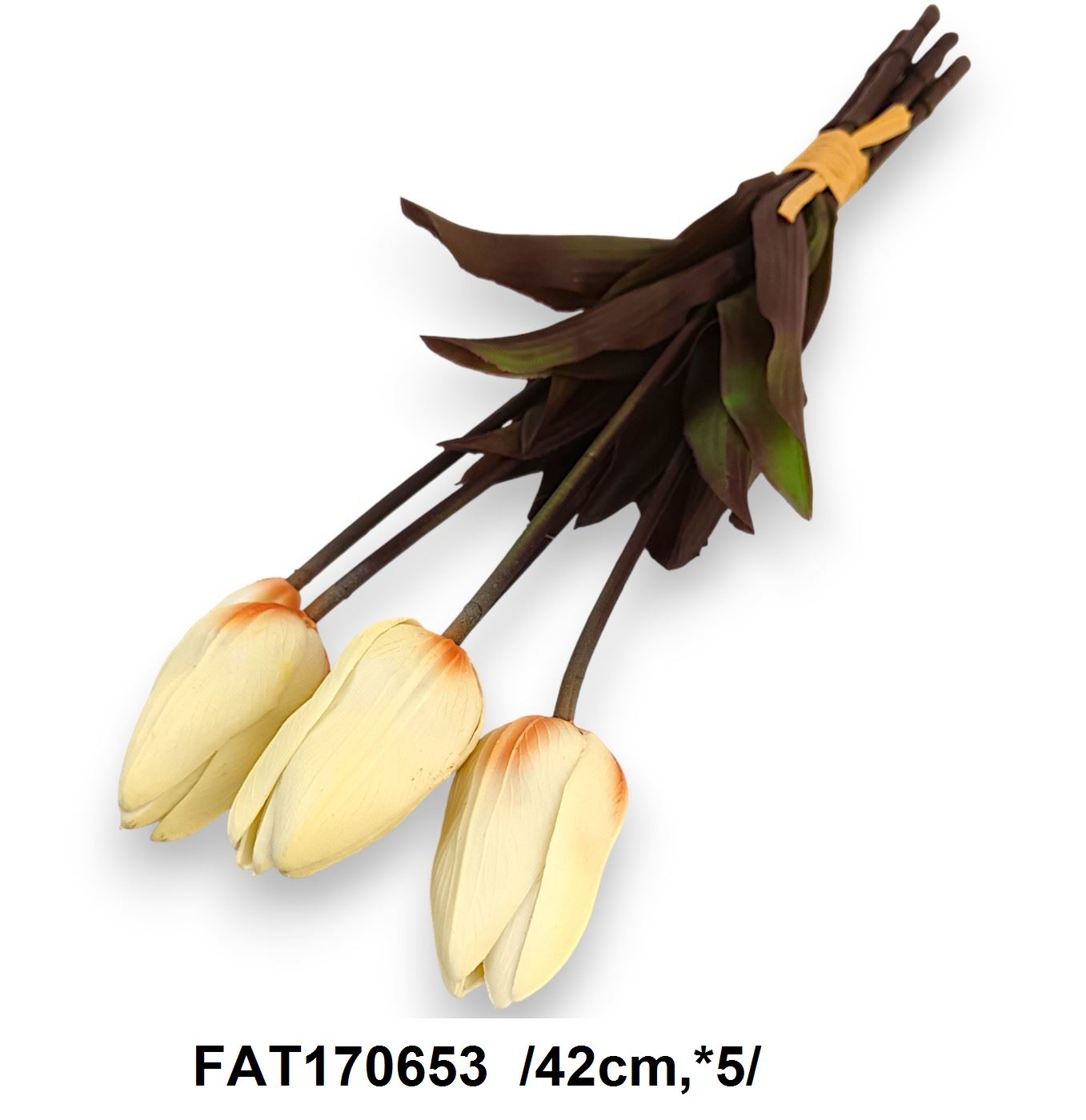FAT170653