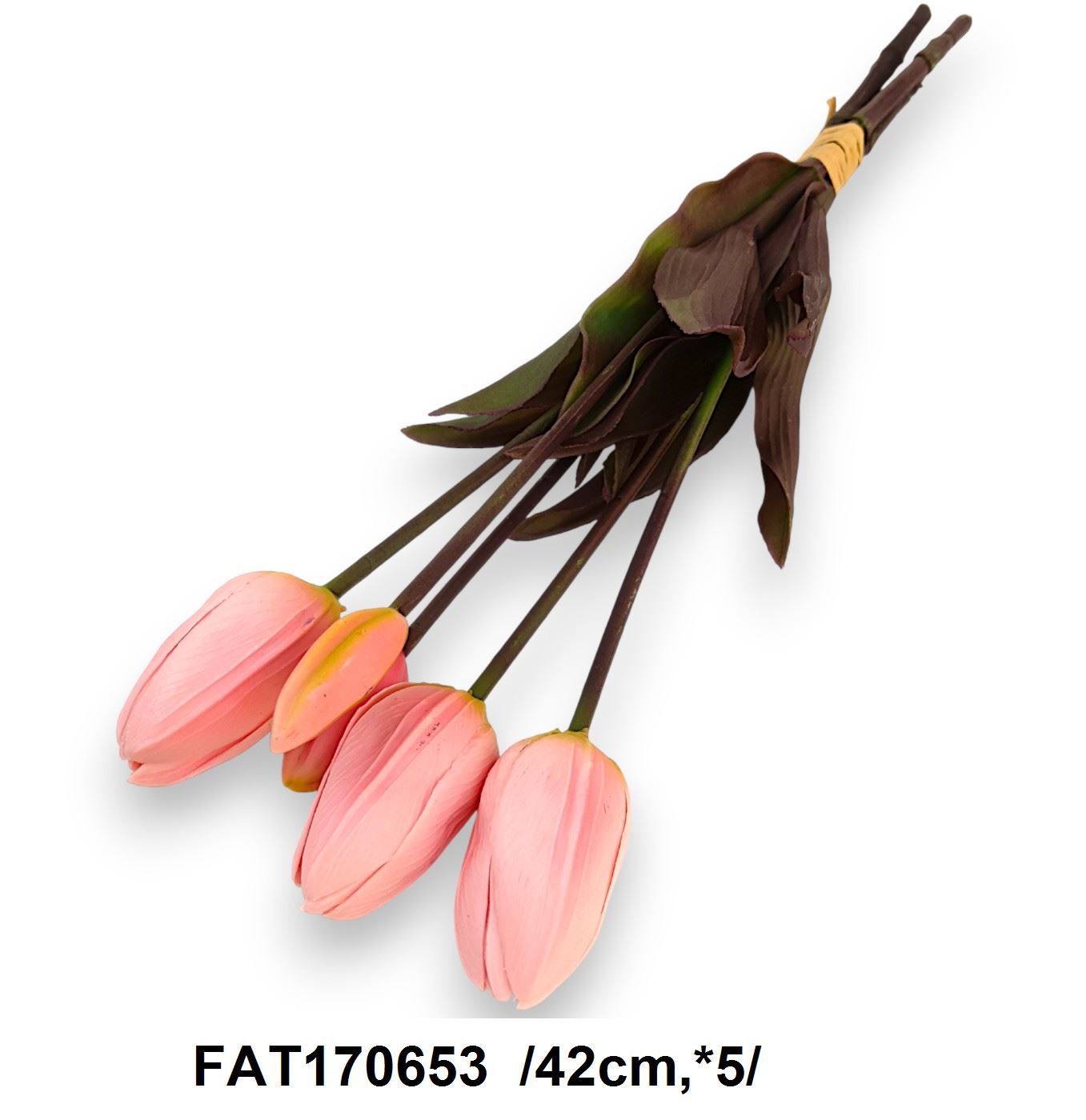 FAT170653
