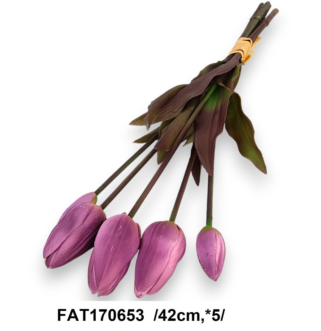 FAT170653