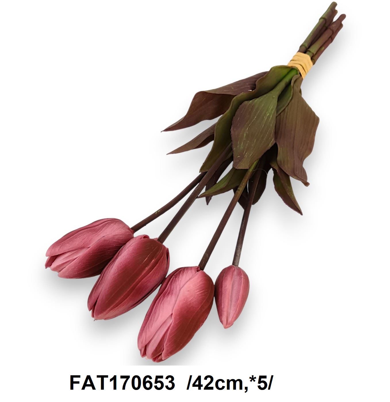 FAT170653