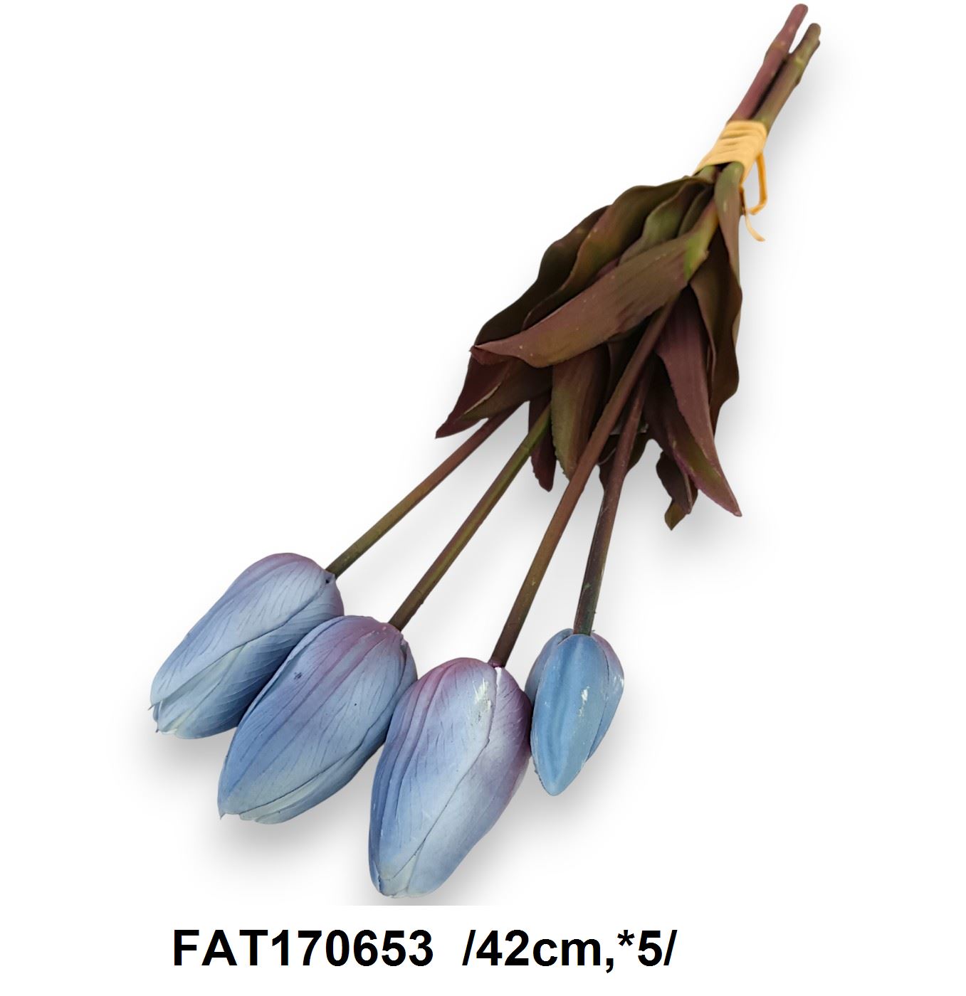 FAT170653