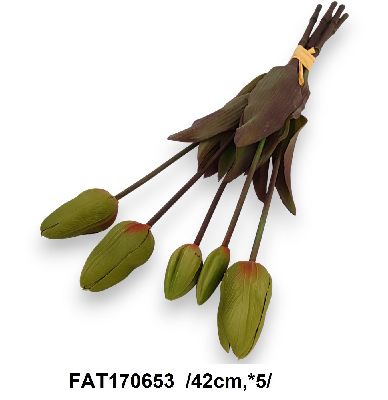 FAT170653