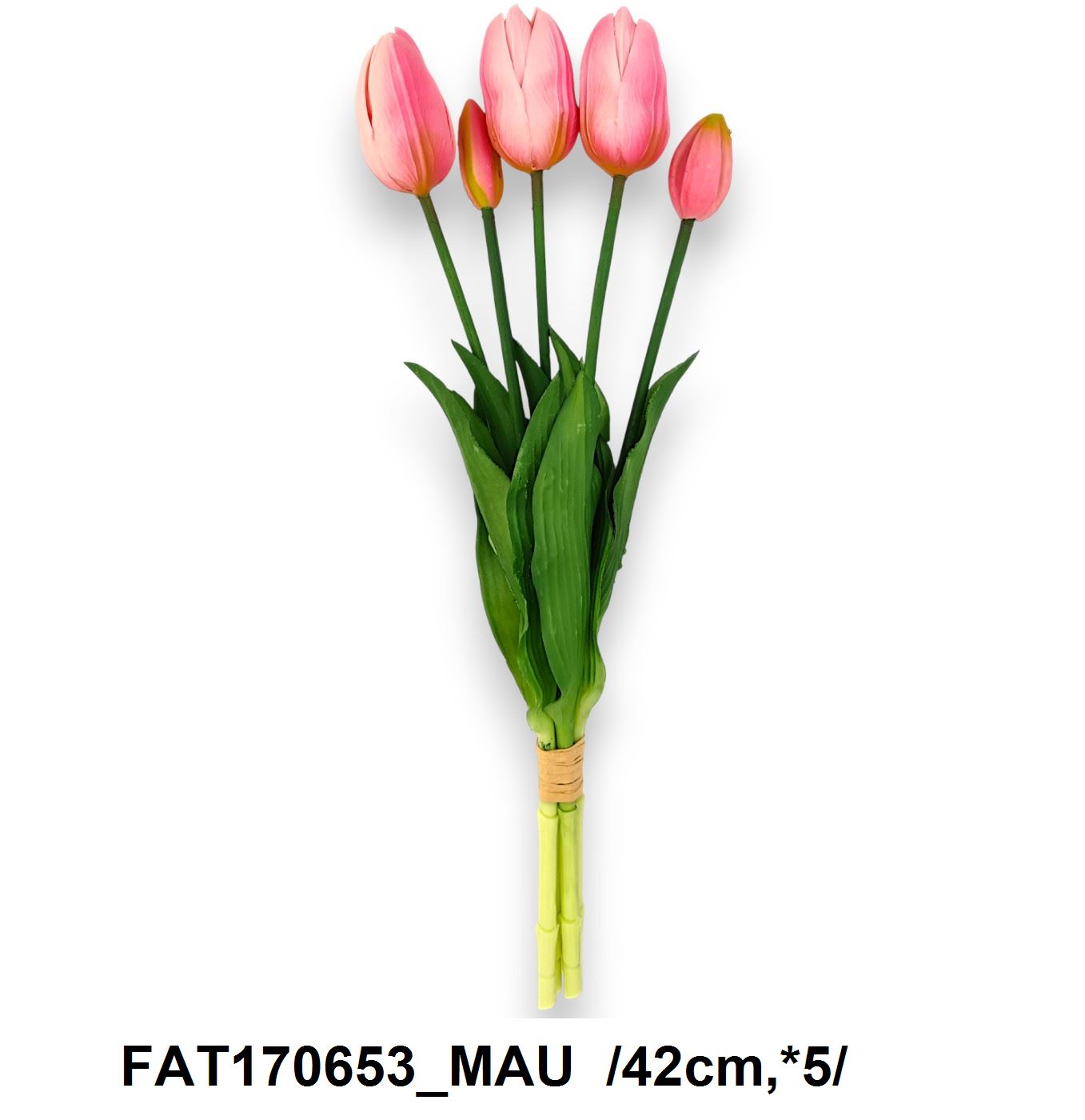 FAT170653_MAU