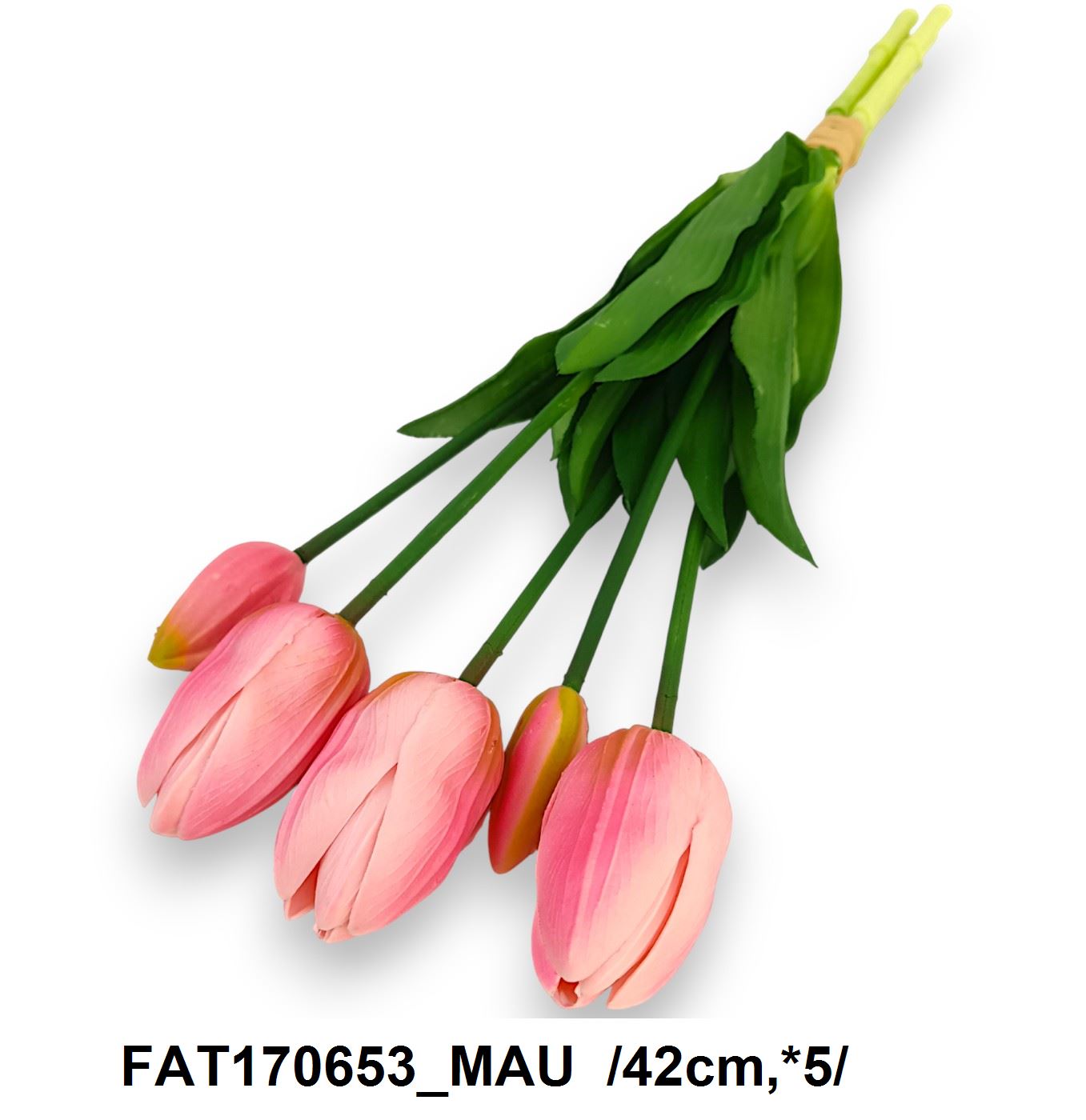 FAT170653_MAU