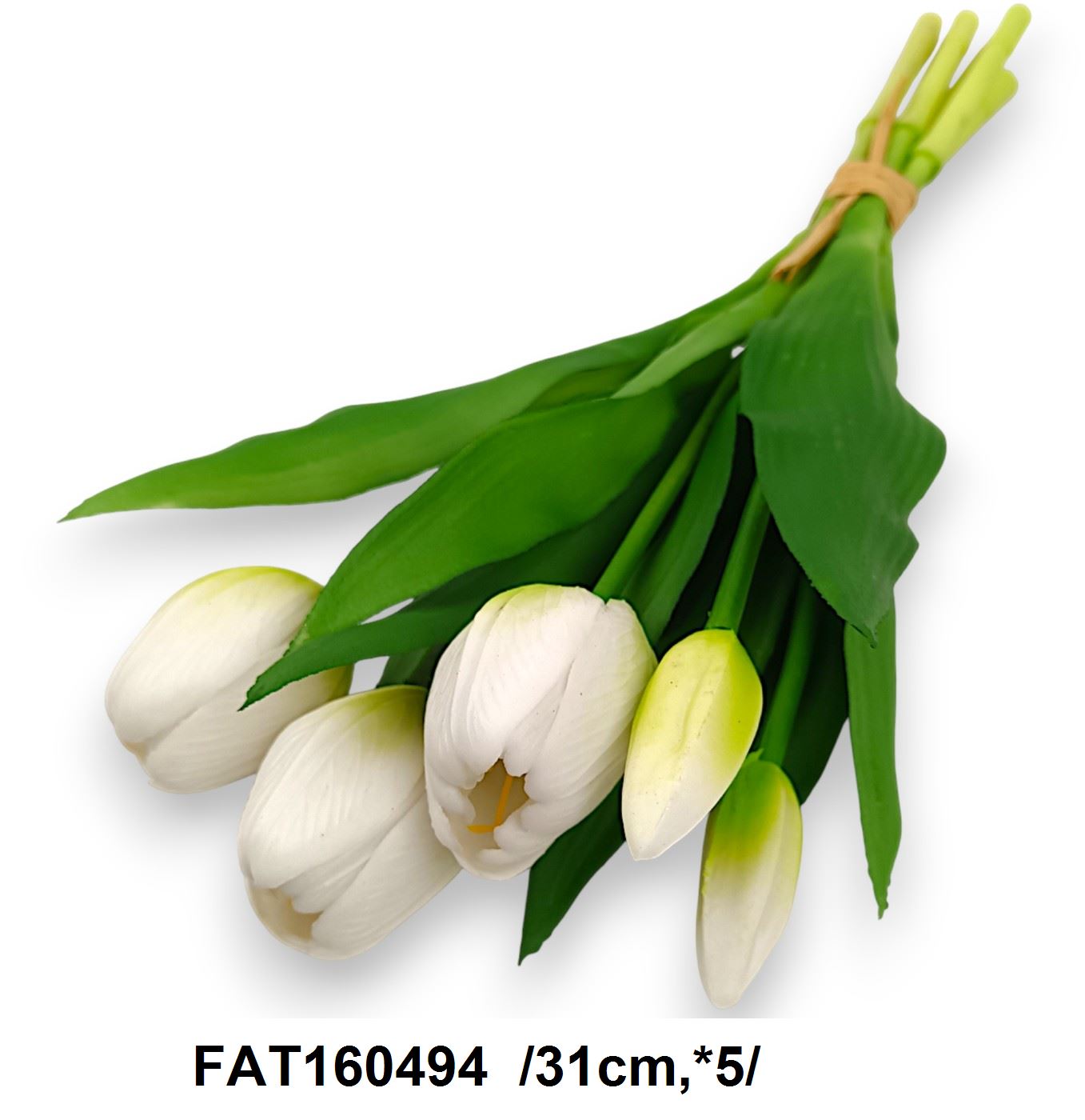 FAT160494