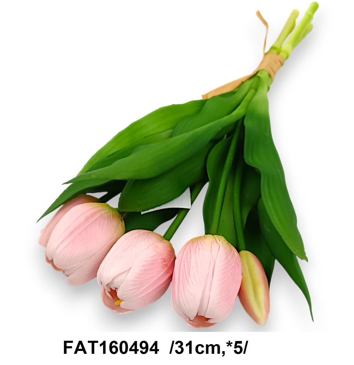 FAT160494