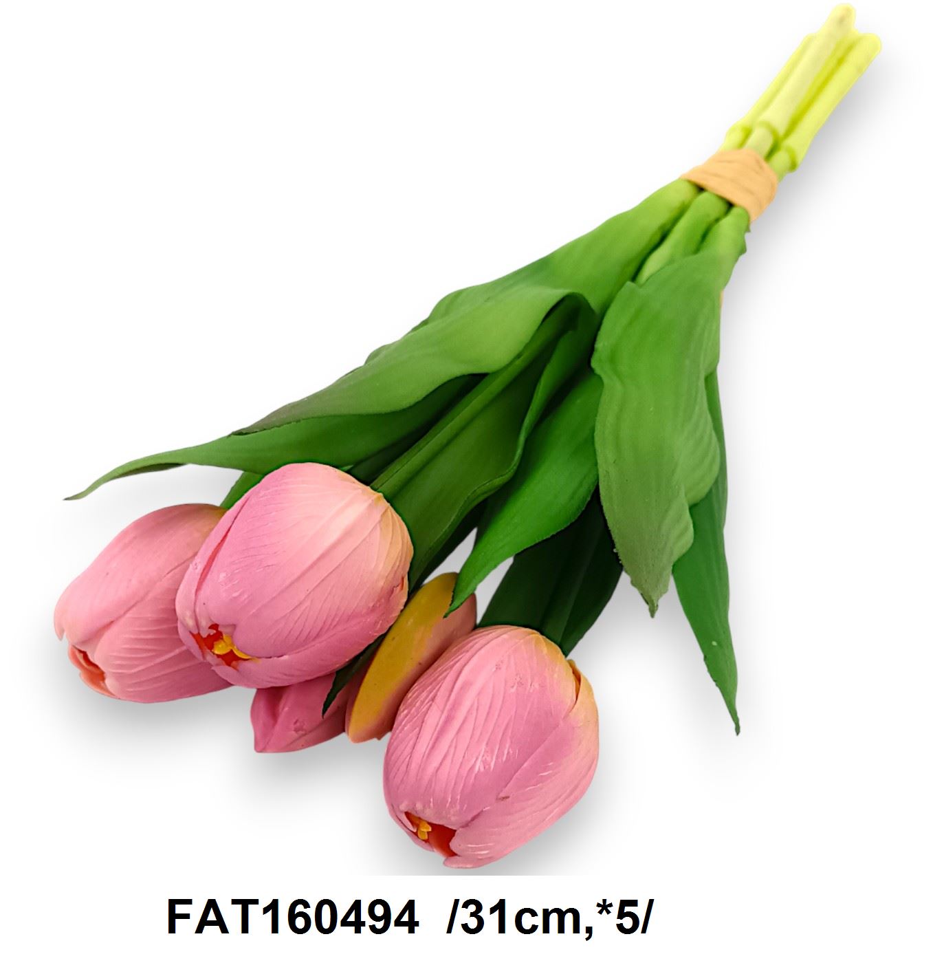 FAT160494