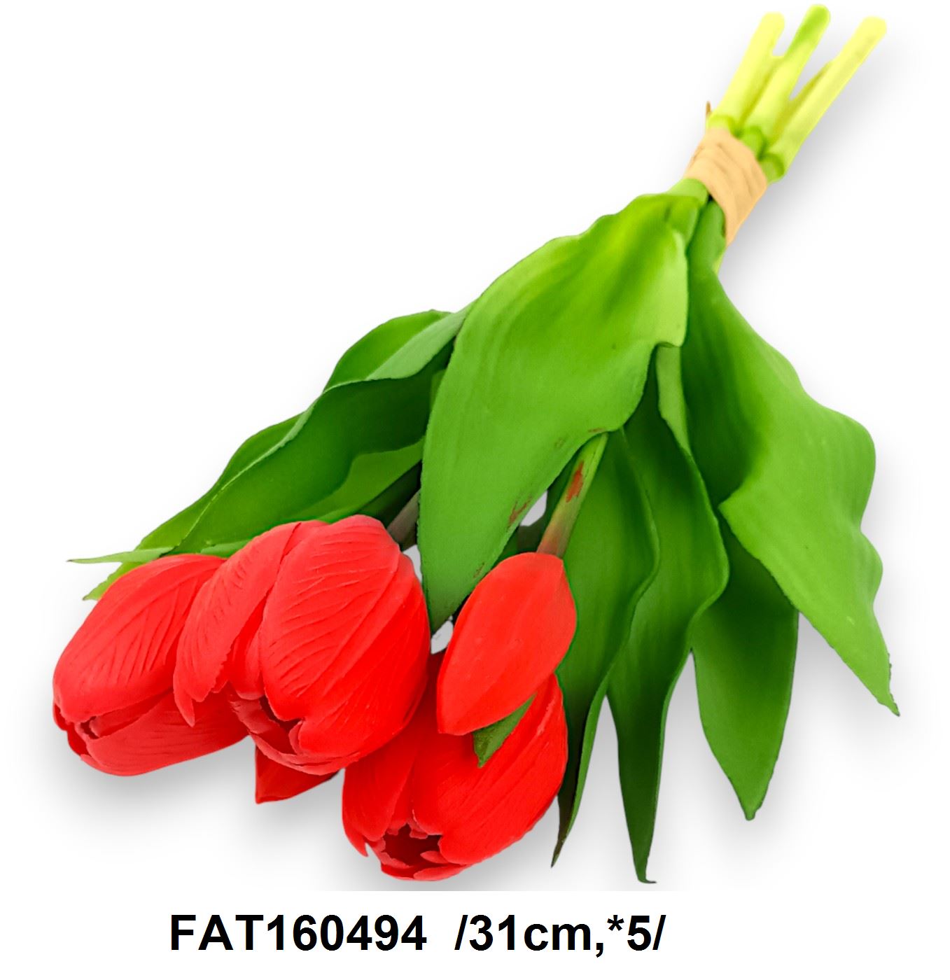 FAT160494