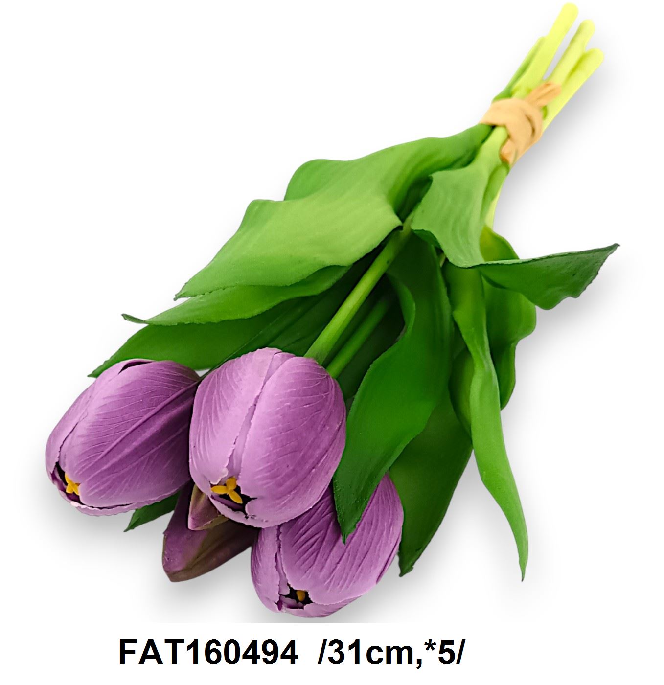 FAT160494