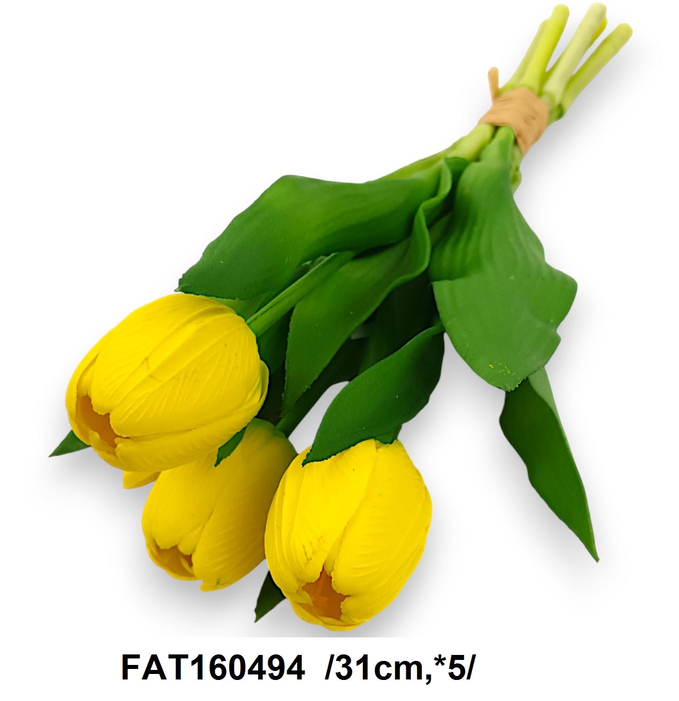 FAT160494
