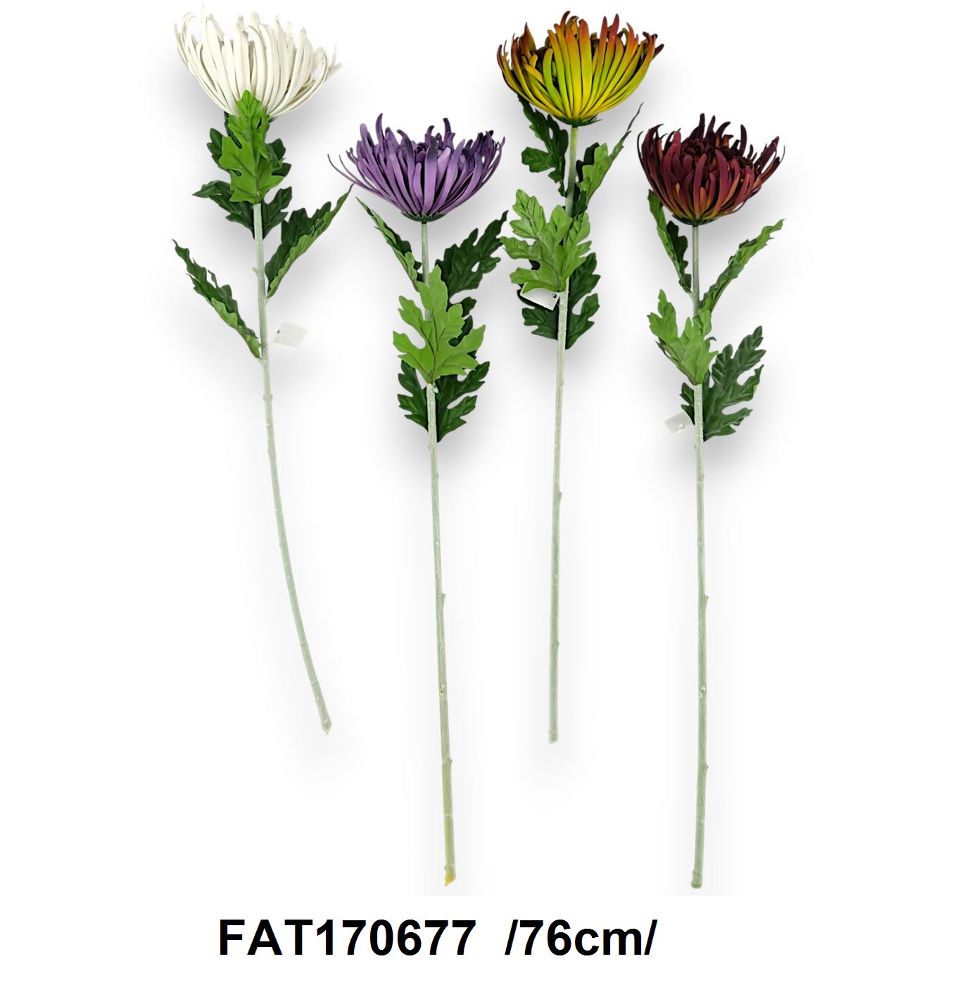FAT170677
