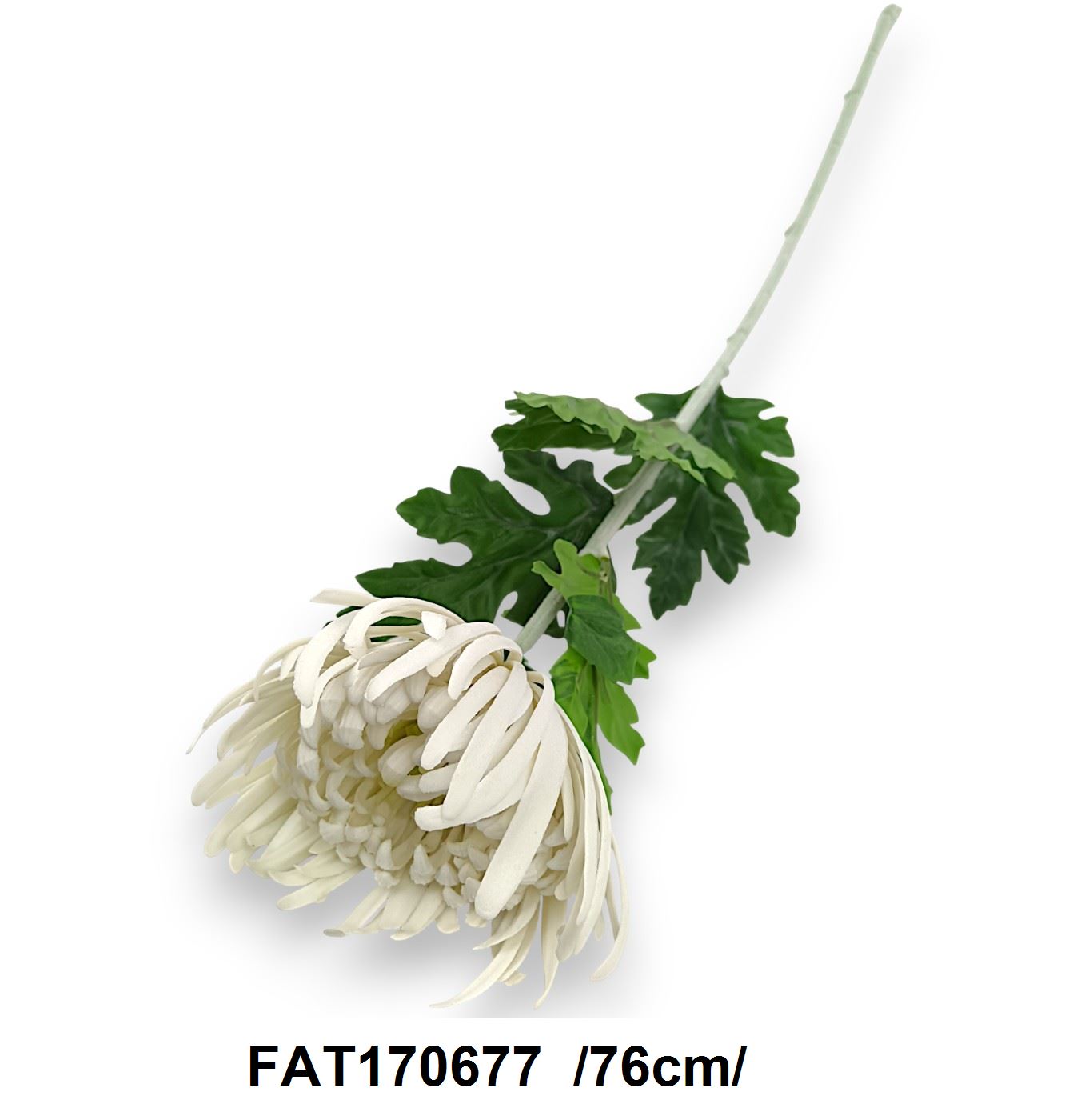 FAT170677