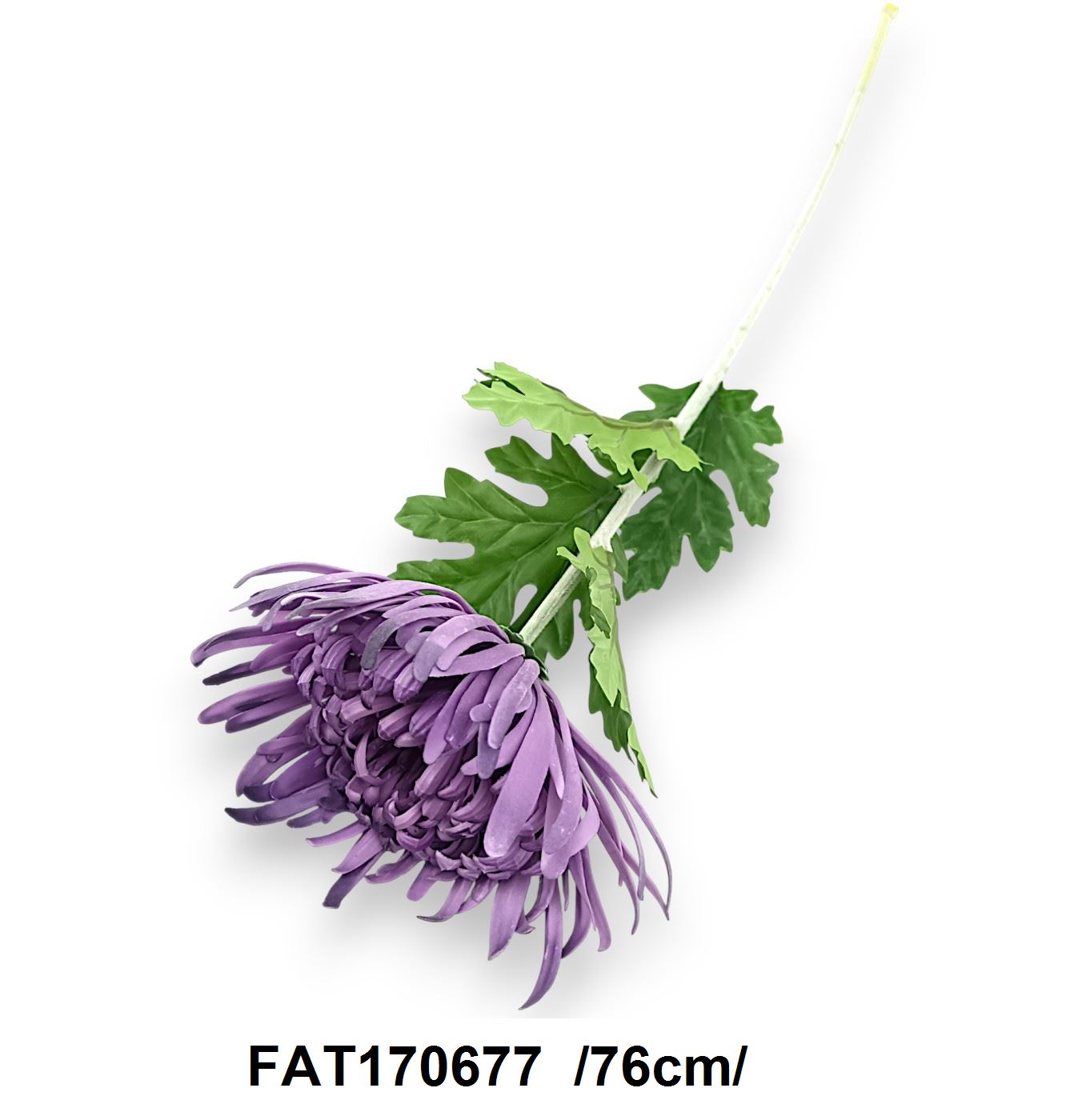 FAT170677
