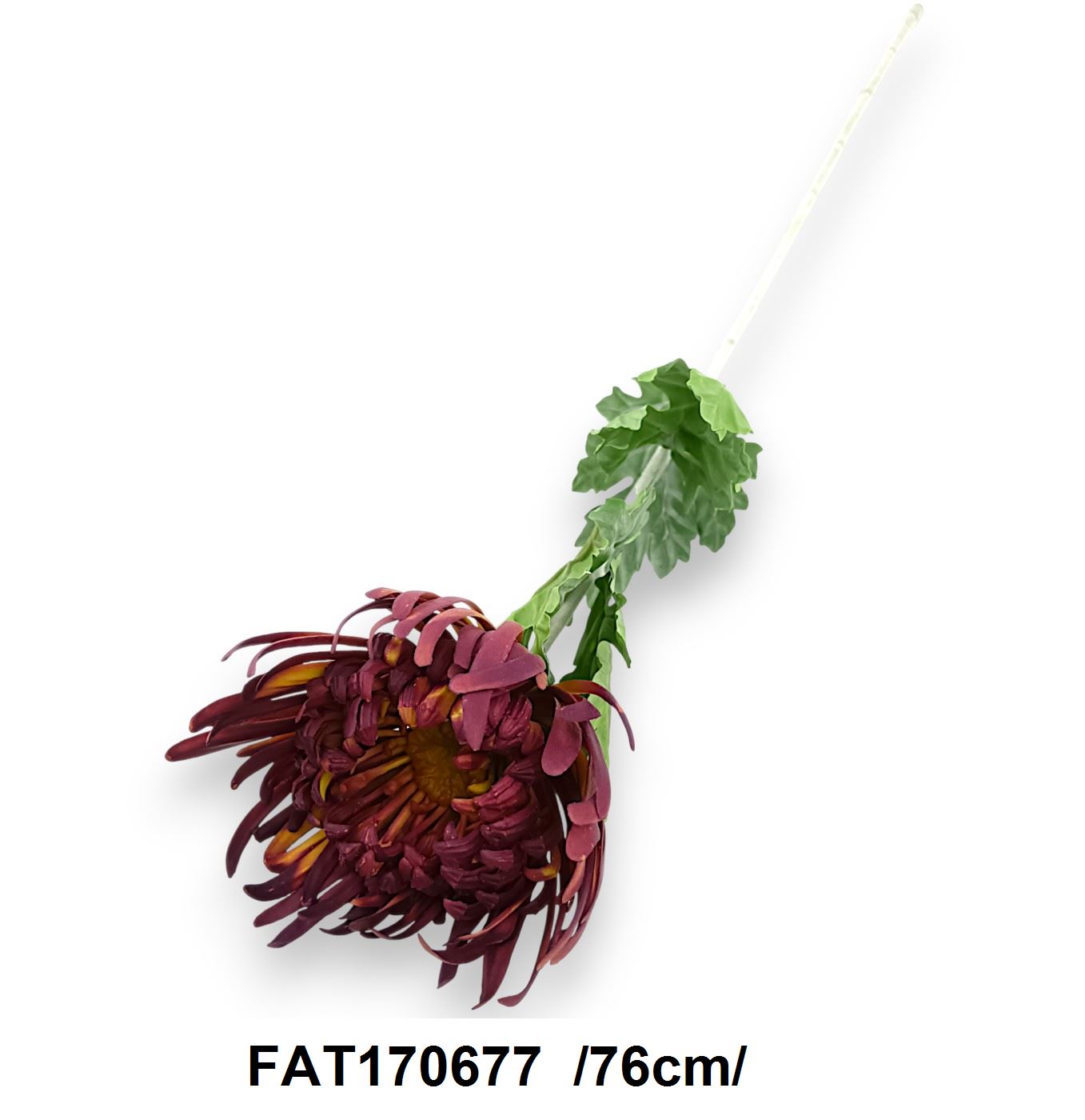 FAT170677