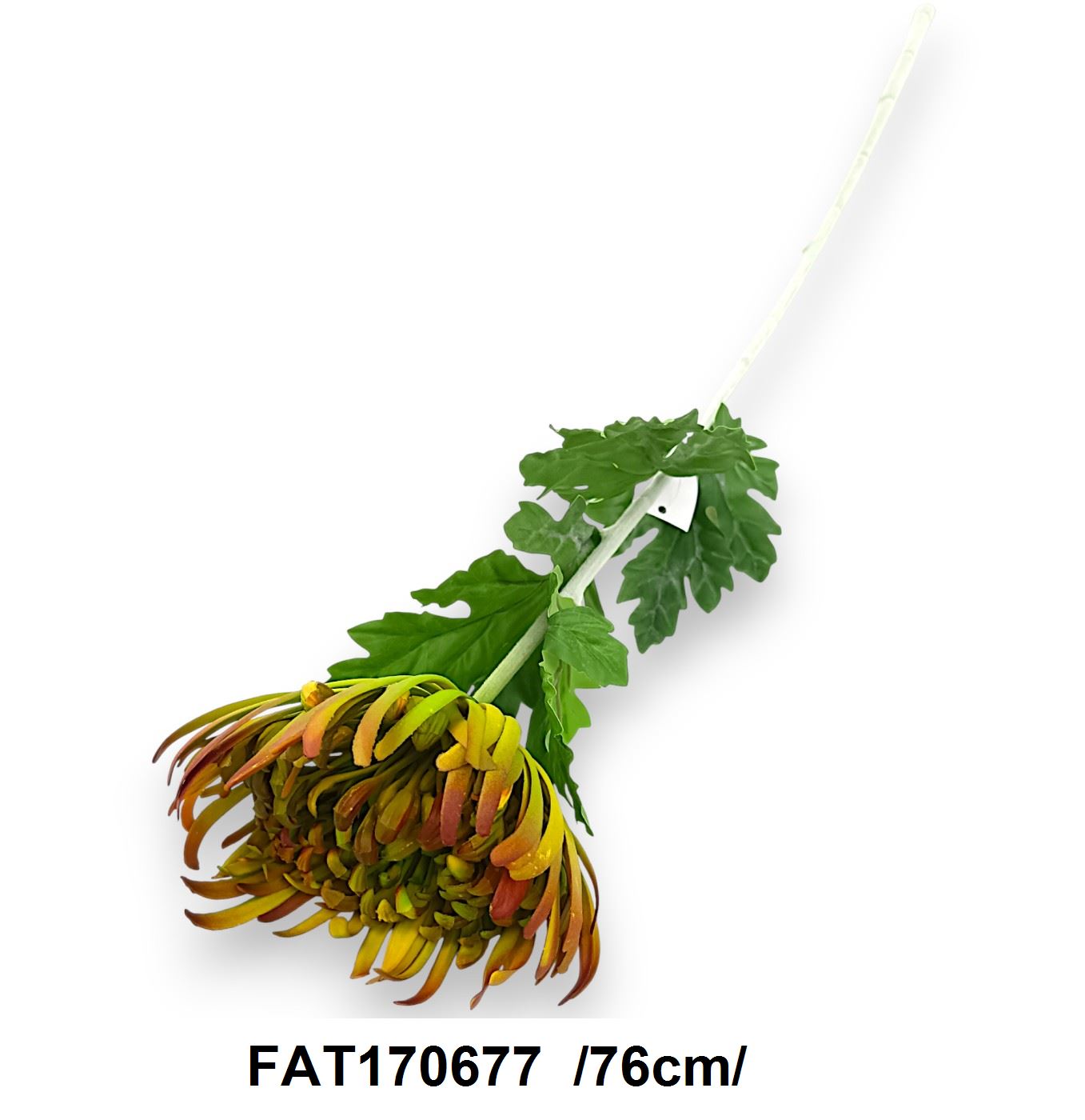 FAT170677