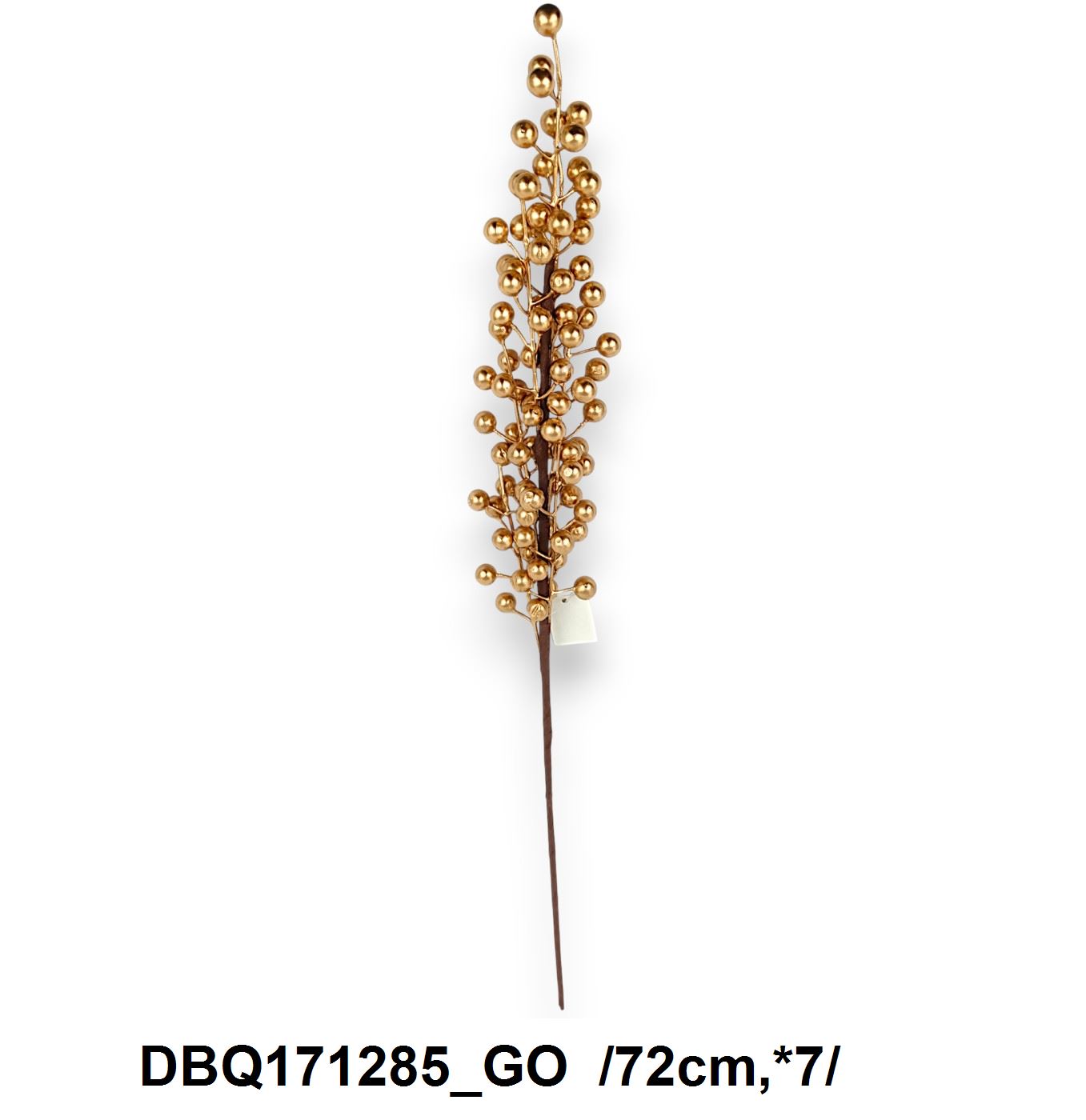 DBQ171285_GO